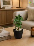 Artificial Ivy Succulent | Dark Green with White Dots Patterned | 16 cm