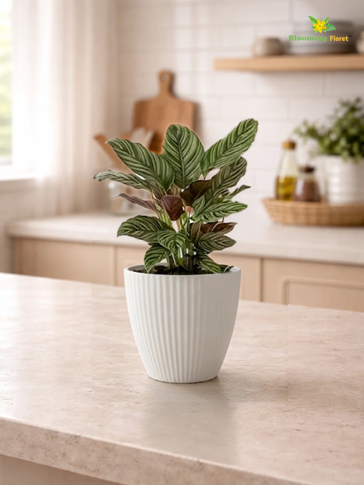 Elegant Ribbed Melamine Pot | White | 16 cm