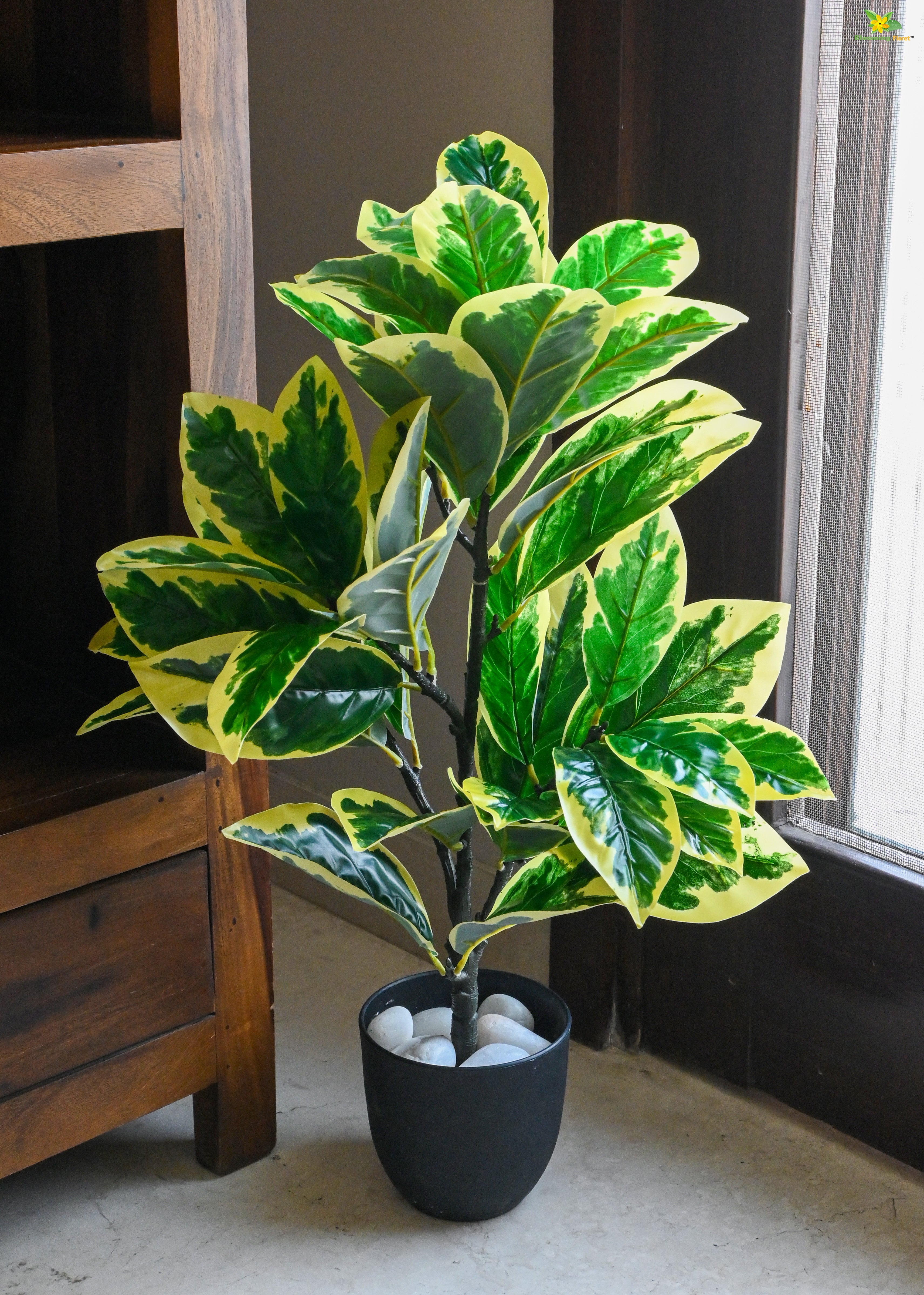 Artificial Pisonia Alba Plant for Decor 30 Leaves with Basic Pot | 65 cm