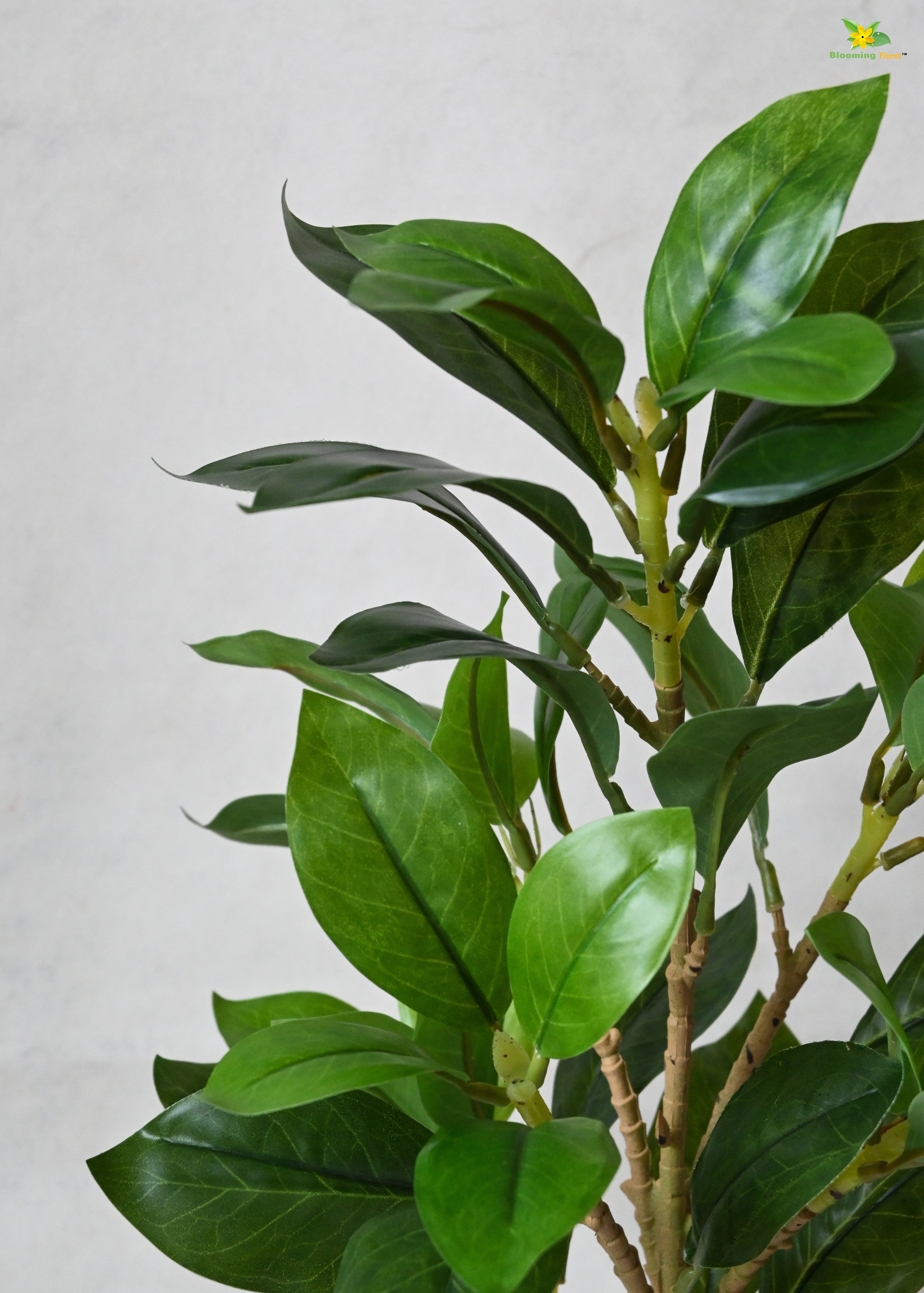 Artificial Zamioculcas Zamiifolia Plant for Decor with Basic Pot | 45.7 cm