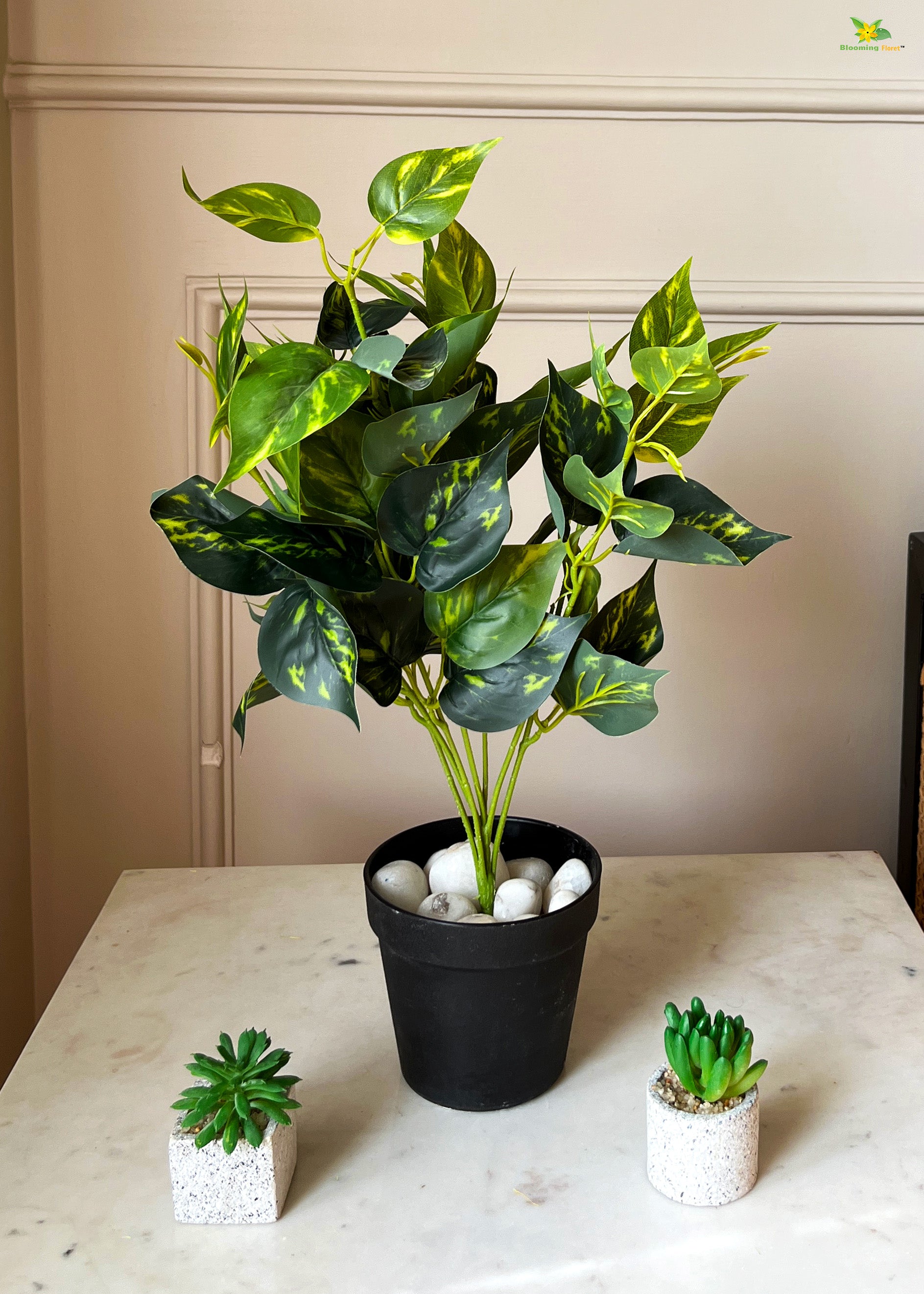 Artificial Golden Pothos for Decor | with Basic Pot | 48.3 cm