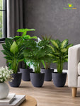 Black Round Planter | 17 cm | Set of 5