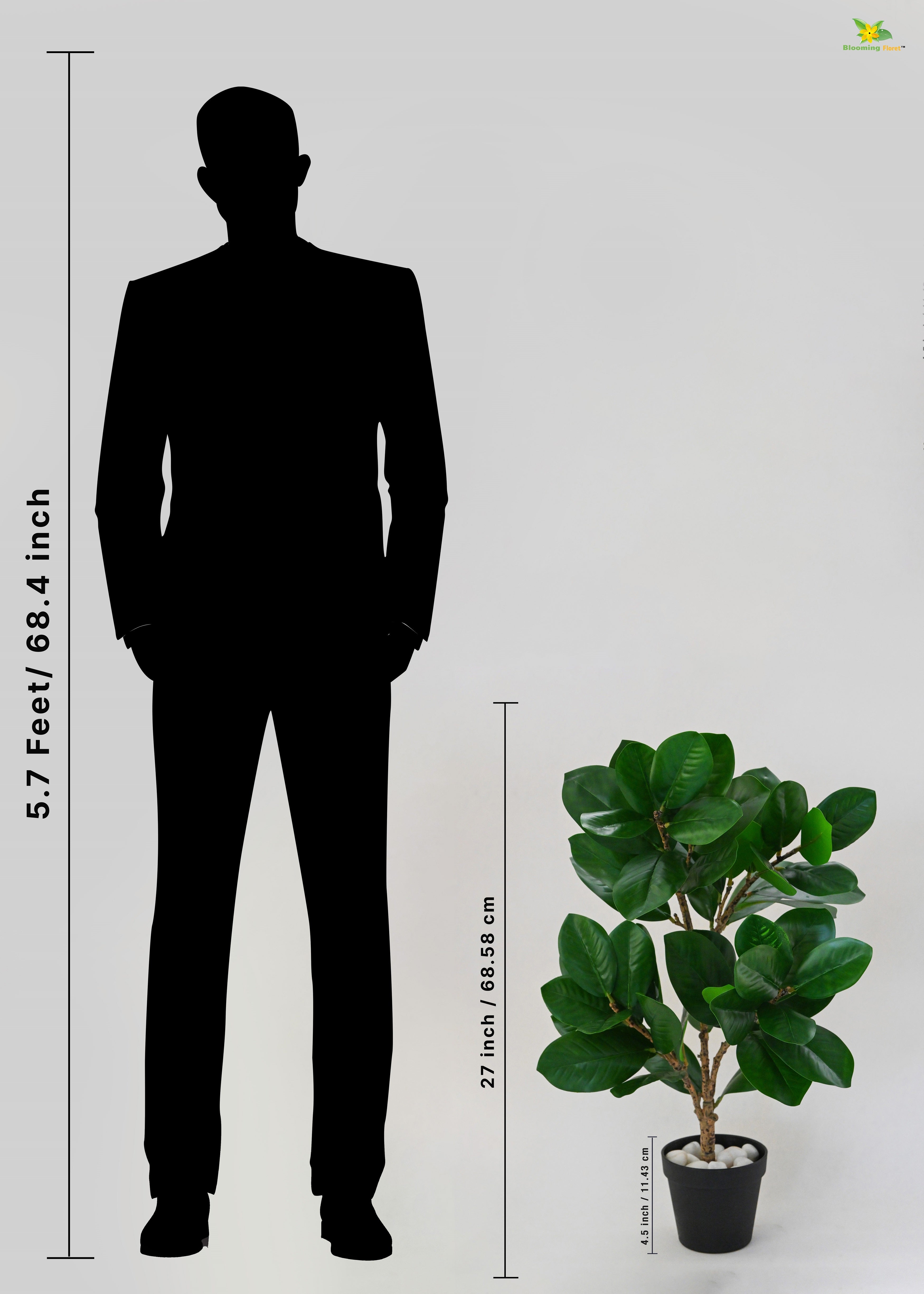 Artificial Fig Plant for Decor | 52 Leaves with Basic Pot | 68.5 cm