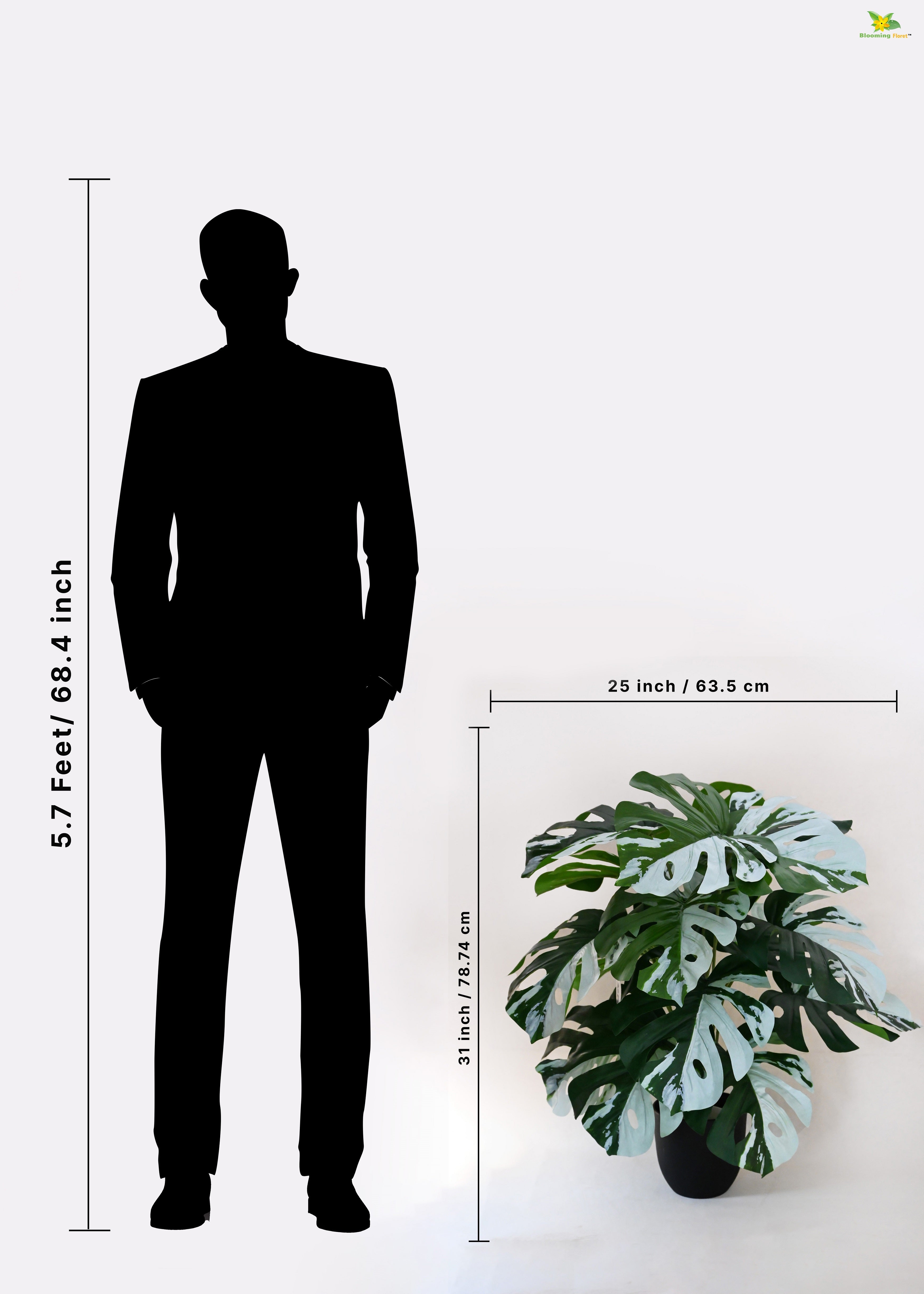 Artificial Monstera Plant for Decor | 18 Leaves with Basic Pot | 78.7 cm