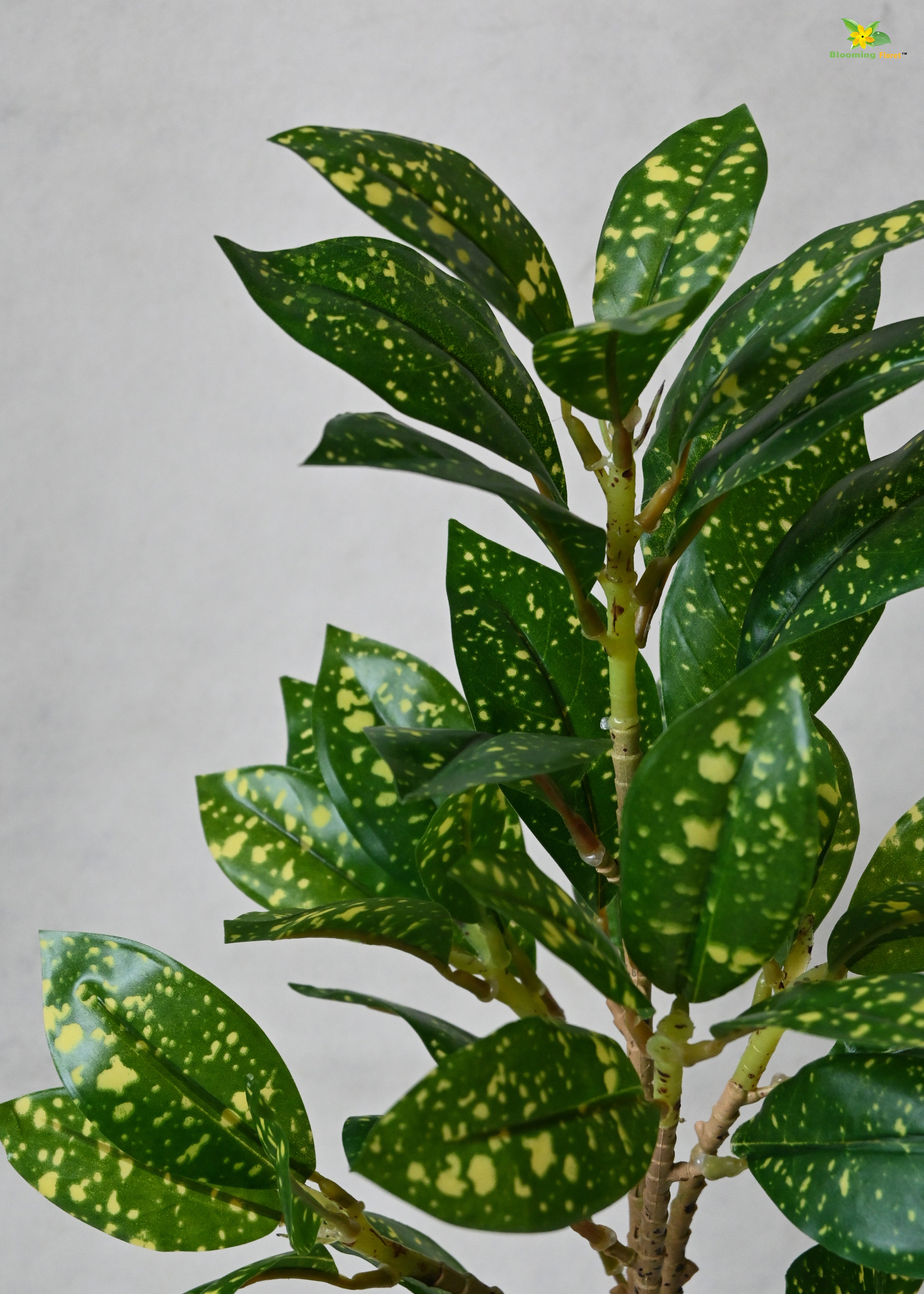 Artificial Gold Dust Croton Plant for Decor with Basic Pot | 45.7 cm