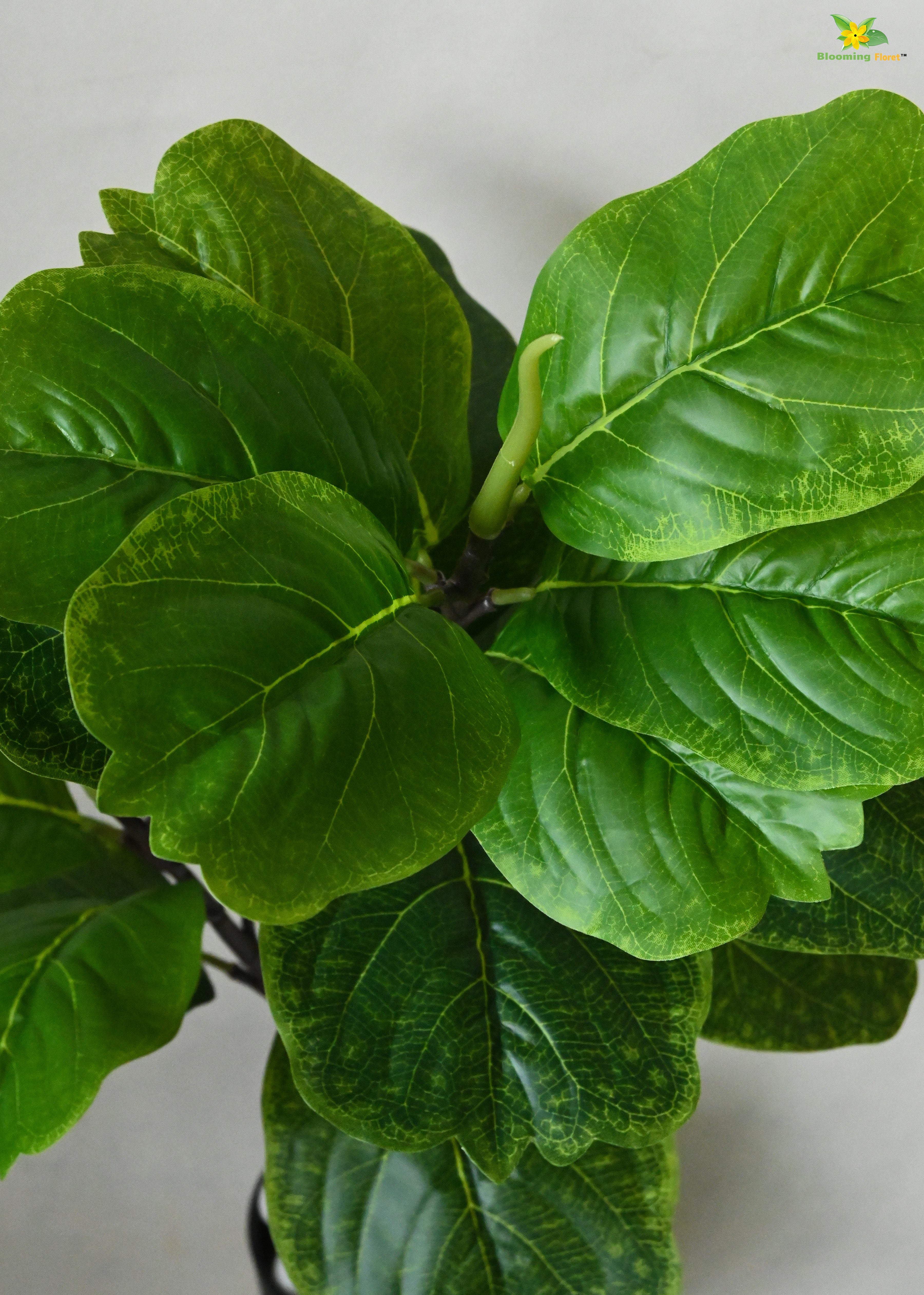 Artificial Fiddle Leaf Fig Plant For Decor 18 Leaves with Basic Pot | 71.1 cm