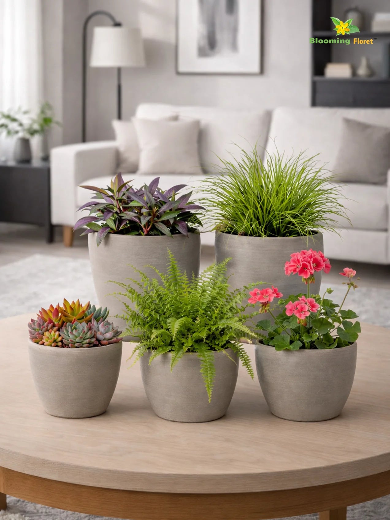 Decorative Pots | Light Brown | 15 cm | Set of 5
