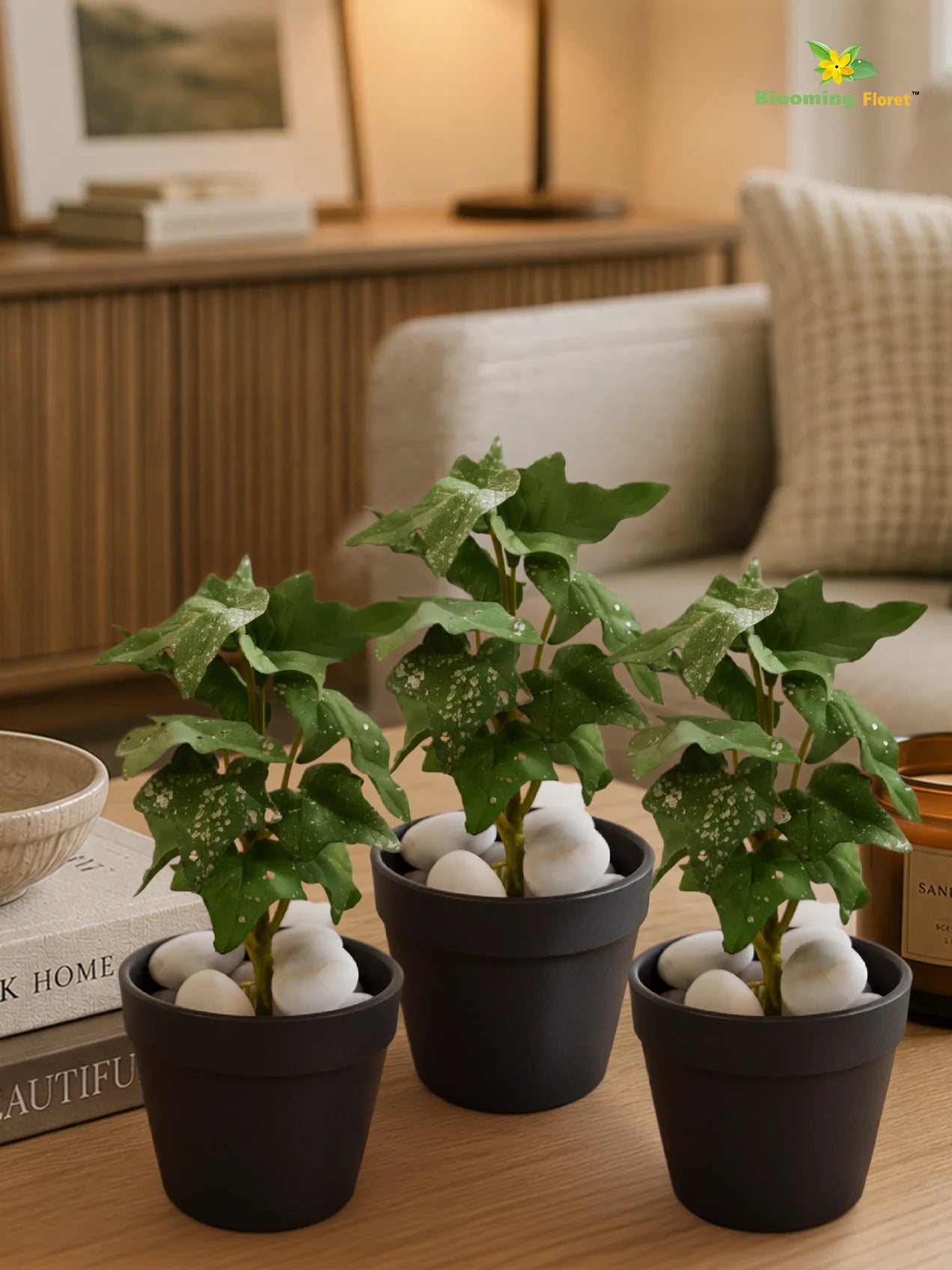 Artificial Ivy Succulent | Green | 16 cm | Set of 3