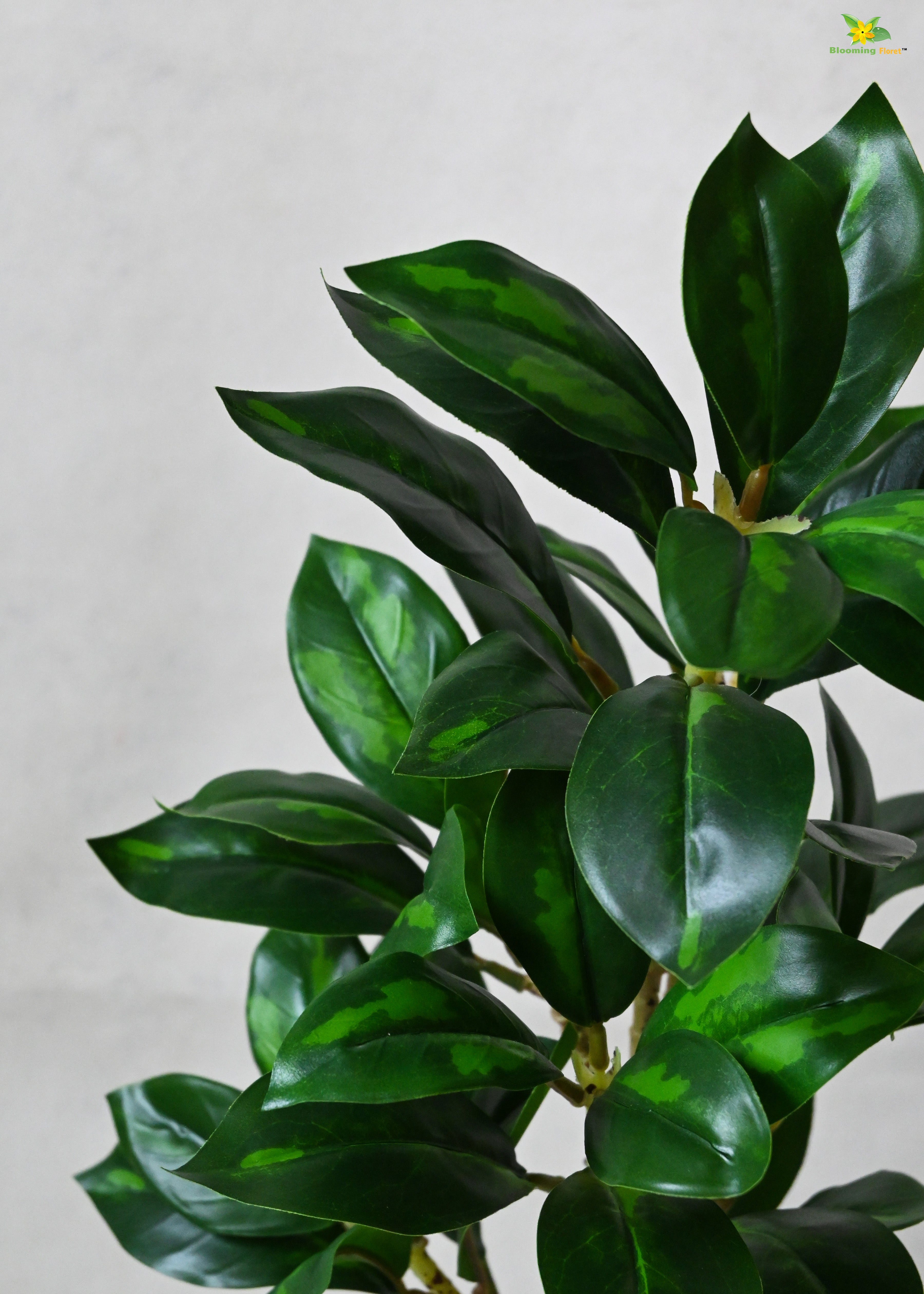 Artificial Zamioculcas Zamiifolia Plant for Decor with Basic Pot | 45.7 cm