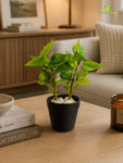 Artificial Money Plant Succulent | Light Green | 15 cm