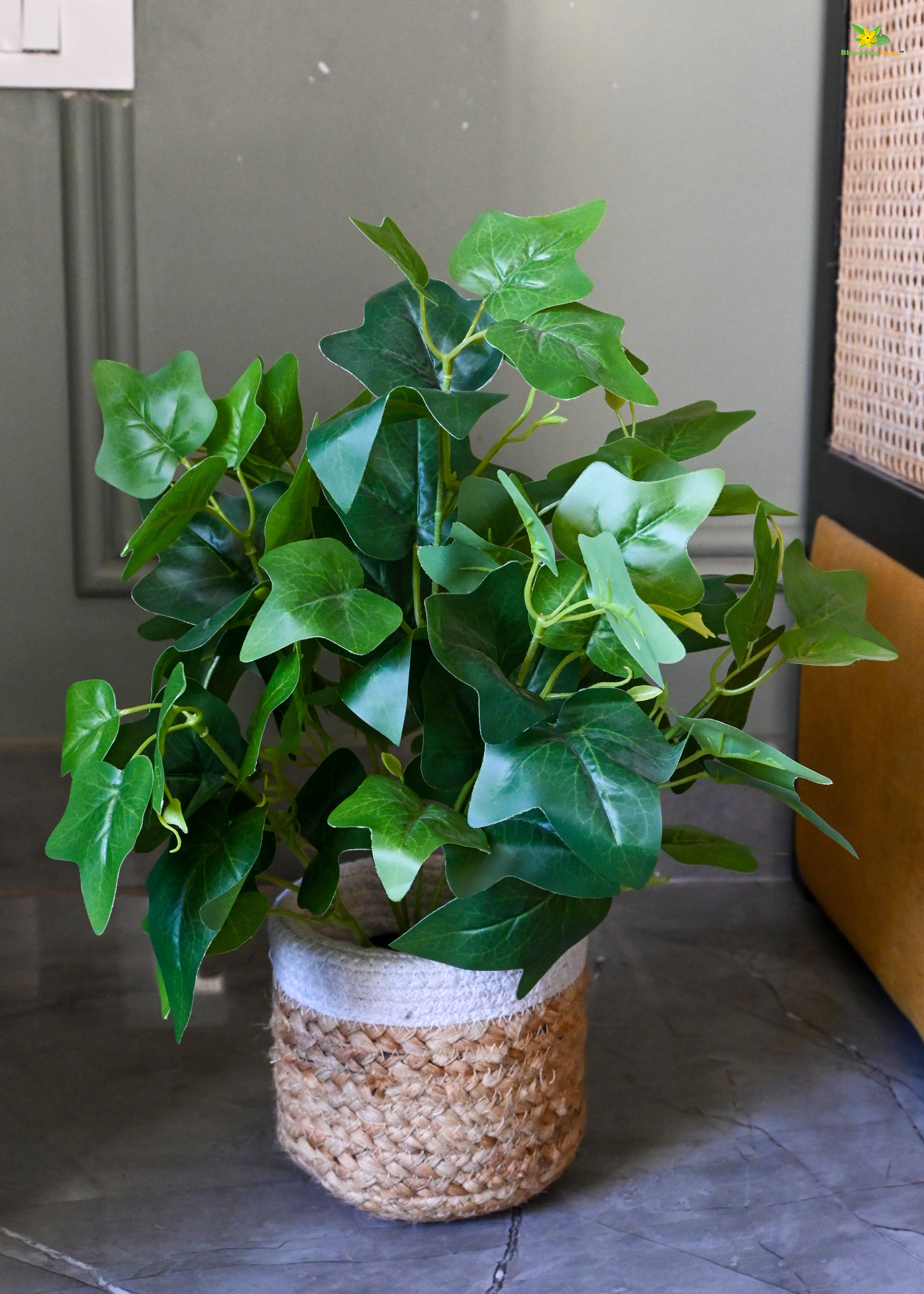 Artificial Japanese Ivy Plant for Decor | with Basic Pot | 48.3 cm