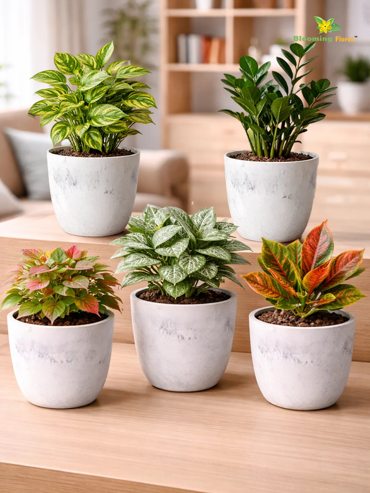 Vivid Tie-Dye Planter | Blue | 12 cm | Set of 5