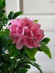 Artificial  Hydrangea Flower Bunch - Light Pink