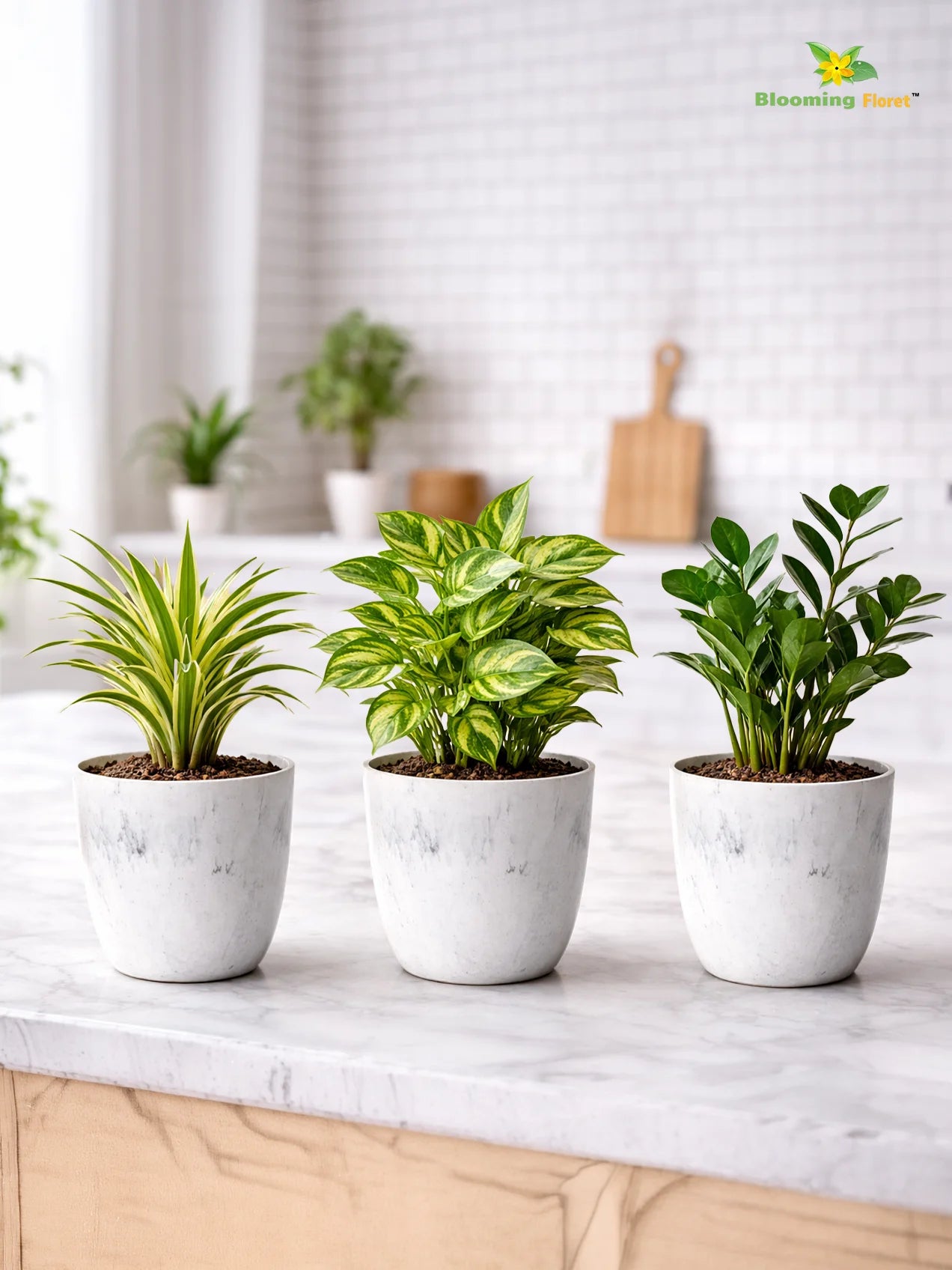 Vivid Tie-Dye Planter | Blue | 12 cm | Set of 3