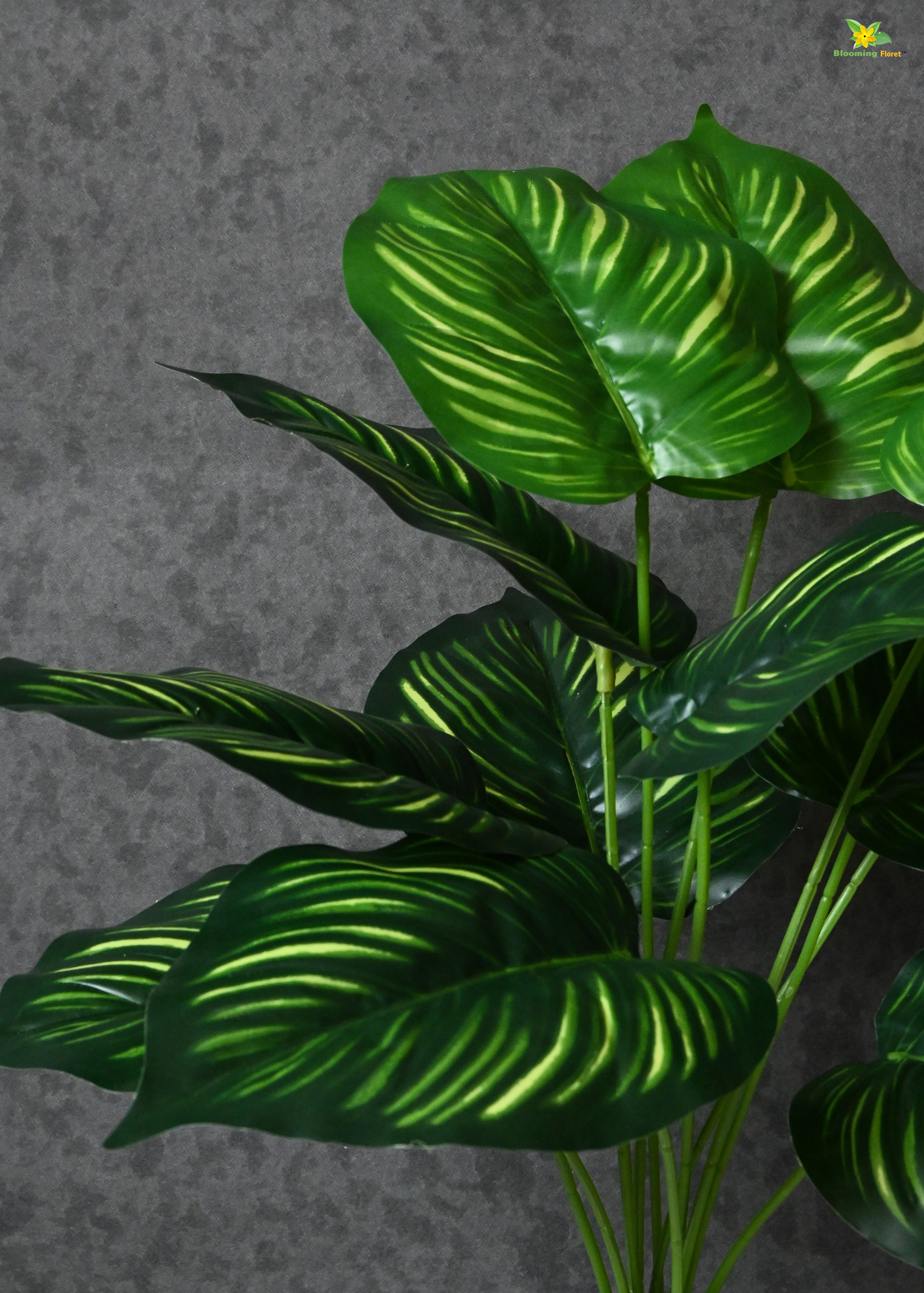 Artificial Calathea Orbifolia Plant for Decor 12 Leaves with Basic Pot | 65 cm