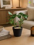 Artificial Money Plant Succulent | Small Green Leaves | 15 cm