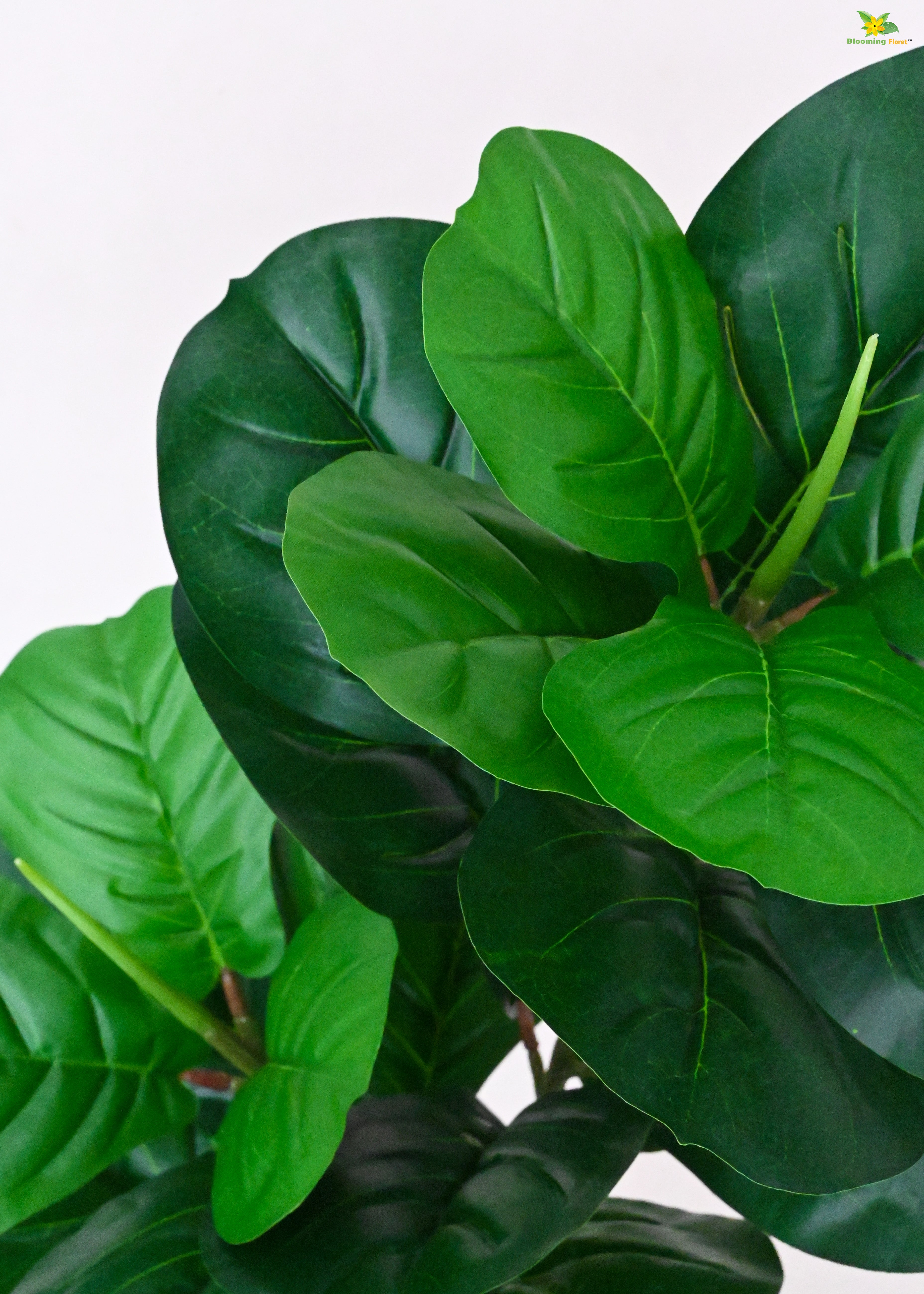 Artificial Fiddle-Leaf Fig Plant for Decor | 24 Leaves with Basic Pot | 74.9 cm