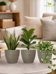 Decorative Pots | Light Brown | 12 cm | Set of 3
