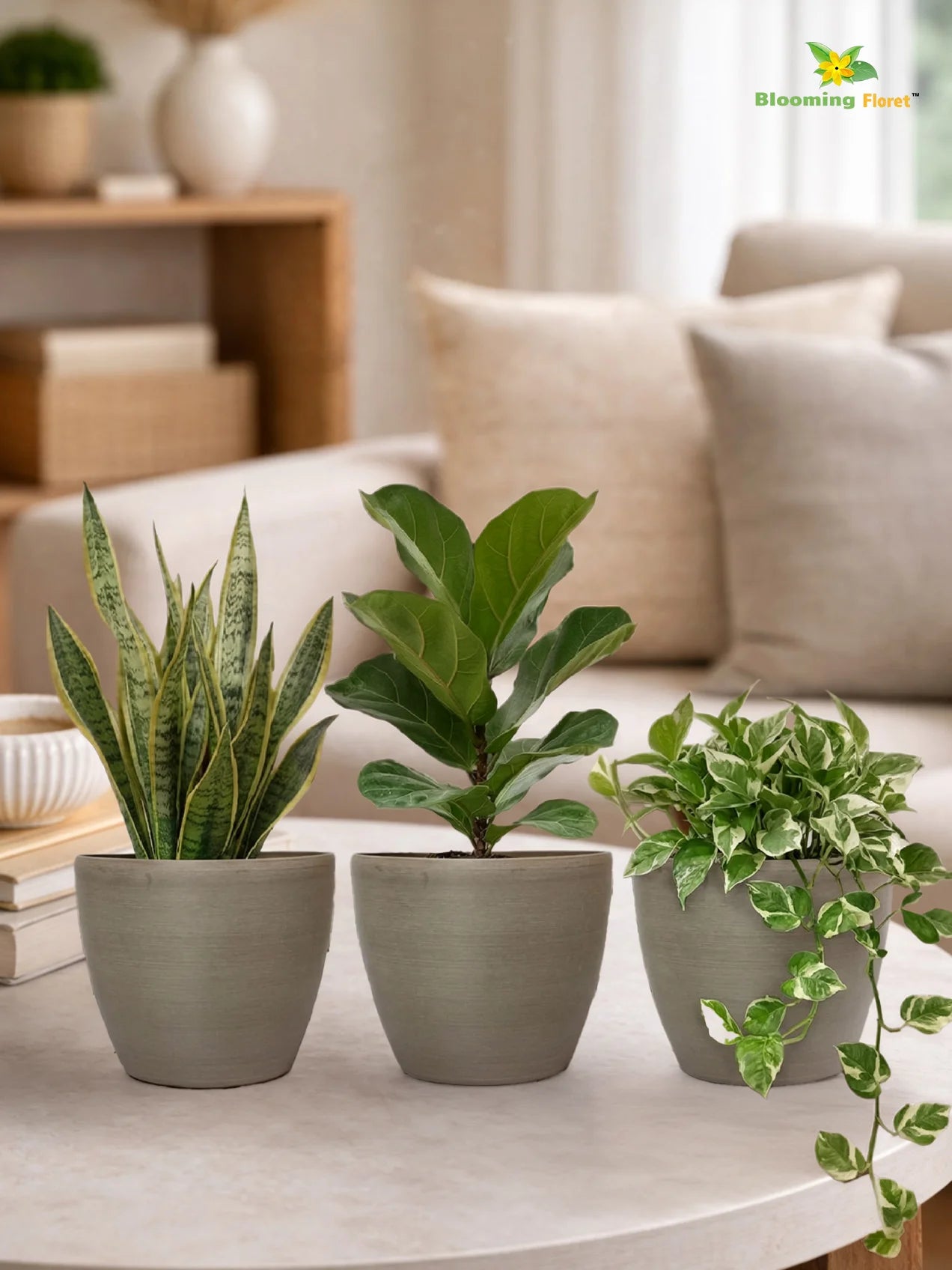Decorative Pots | Light Brown | 12 cm | Set of 3