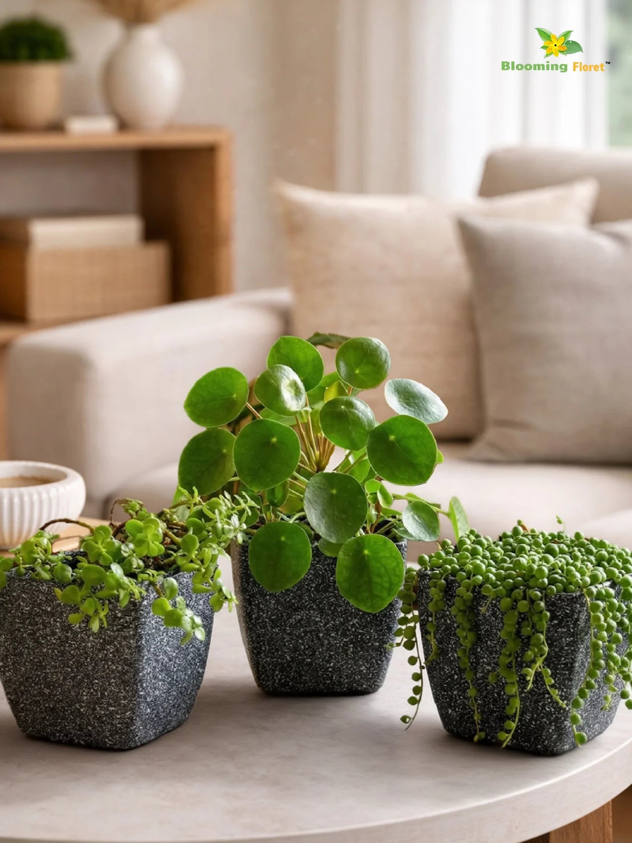 Coarse Textured Square Planter Pot | 15 cm | Set of 3