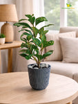 Ribbed Pattern Round Planter | 11.5 cm