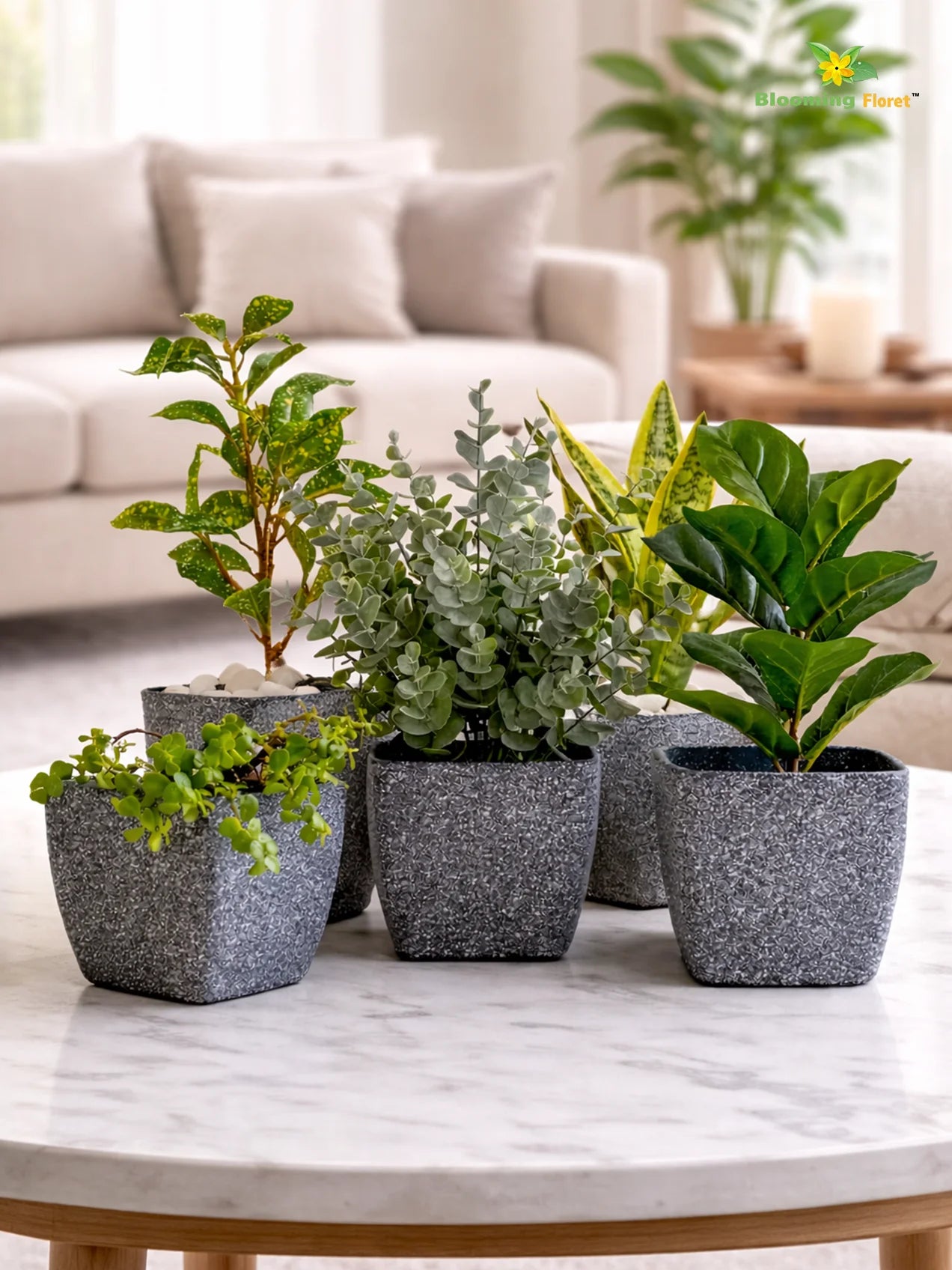 Coarse Textured Square Planter Pot | 13 cm | Set of 5