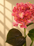 Hydrangea Flower Stick | Rose Red | 63 cm