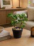 Artificial Mini Monstera Succulent | Light Green | 15 cm