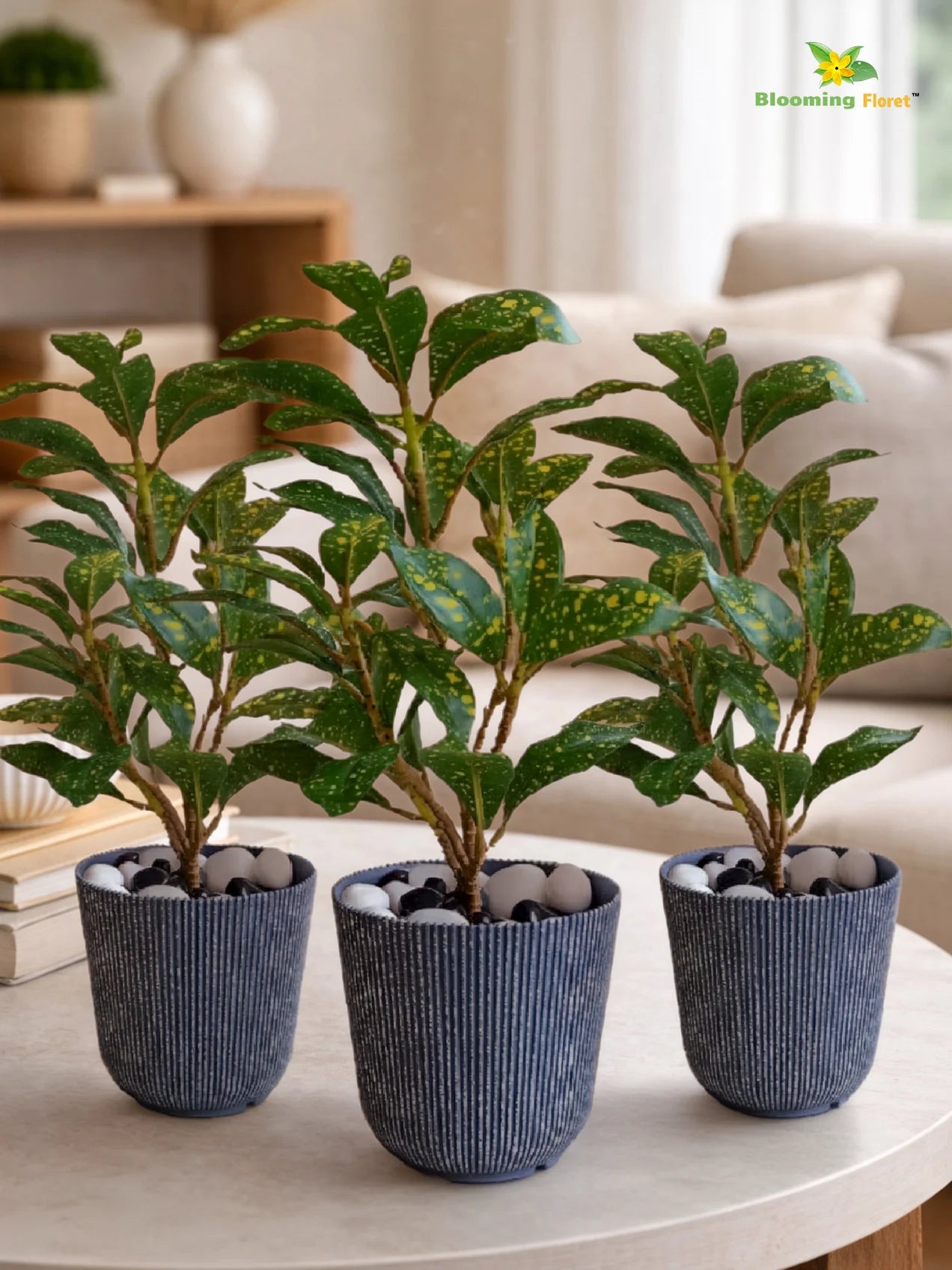 Ribbed Pattern Round Planter | 11.5 cm | Set of 3