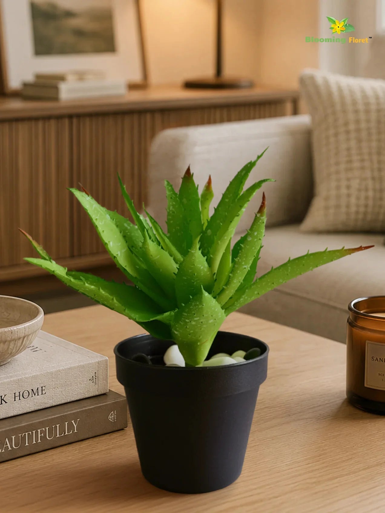 Aloe Vera Plant | Green | 24 cm