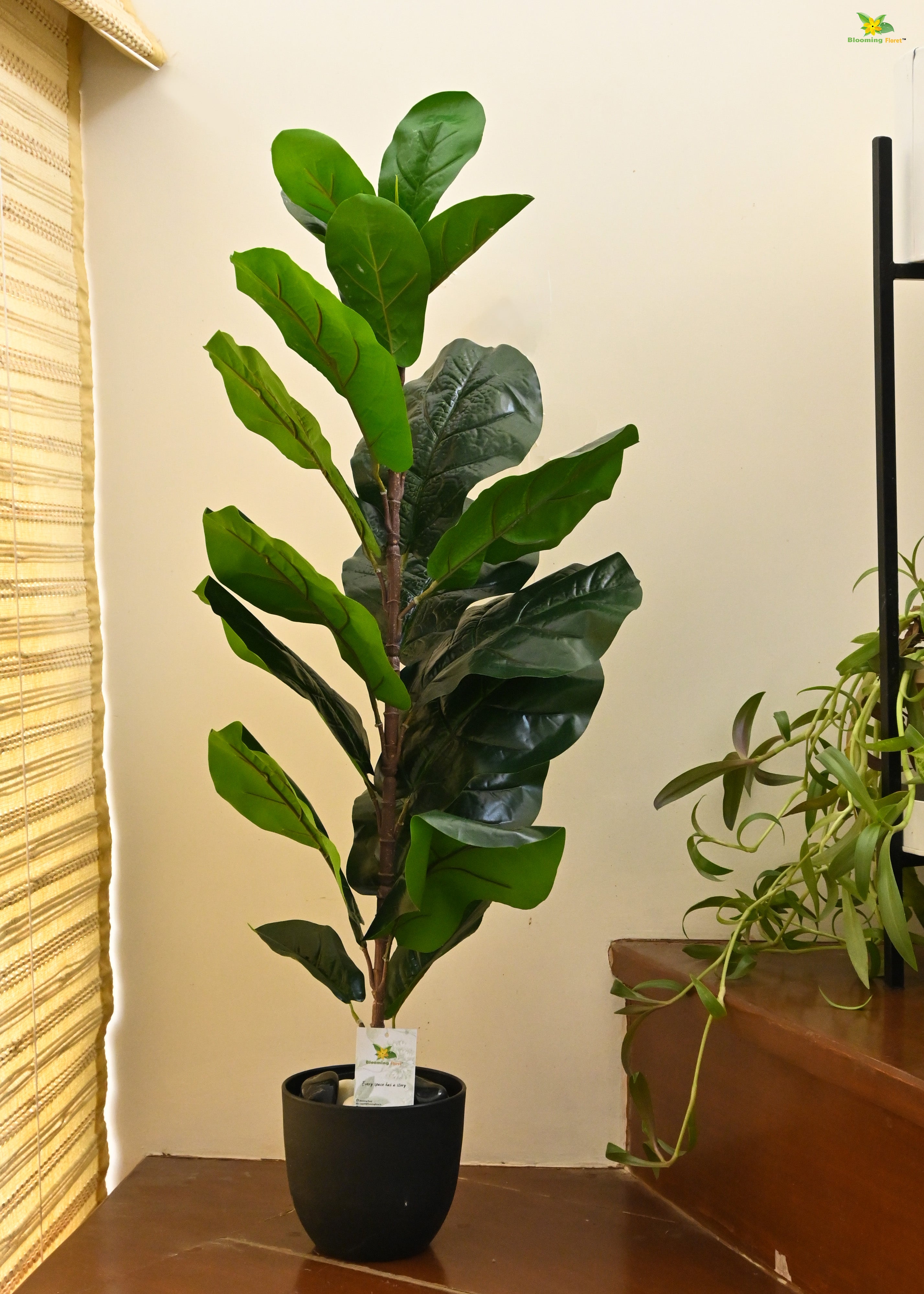 Artificial Fiddle-Leaf Fig Plant for Decor 21 Leaves with Basic Pot | 86.3 cm