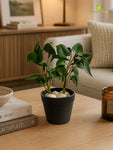 Artificial Money Plant Succulent | Dark Green | 15 cm