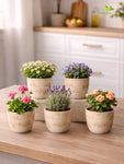 Vivid Tie-Dye Planter | Beige | 12 cm | Set of 5