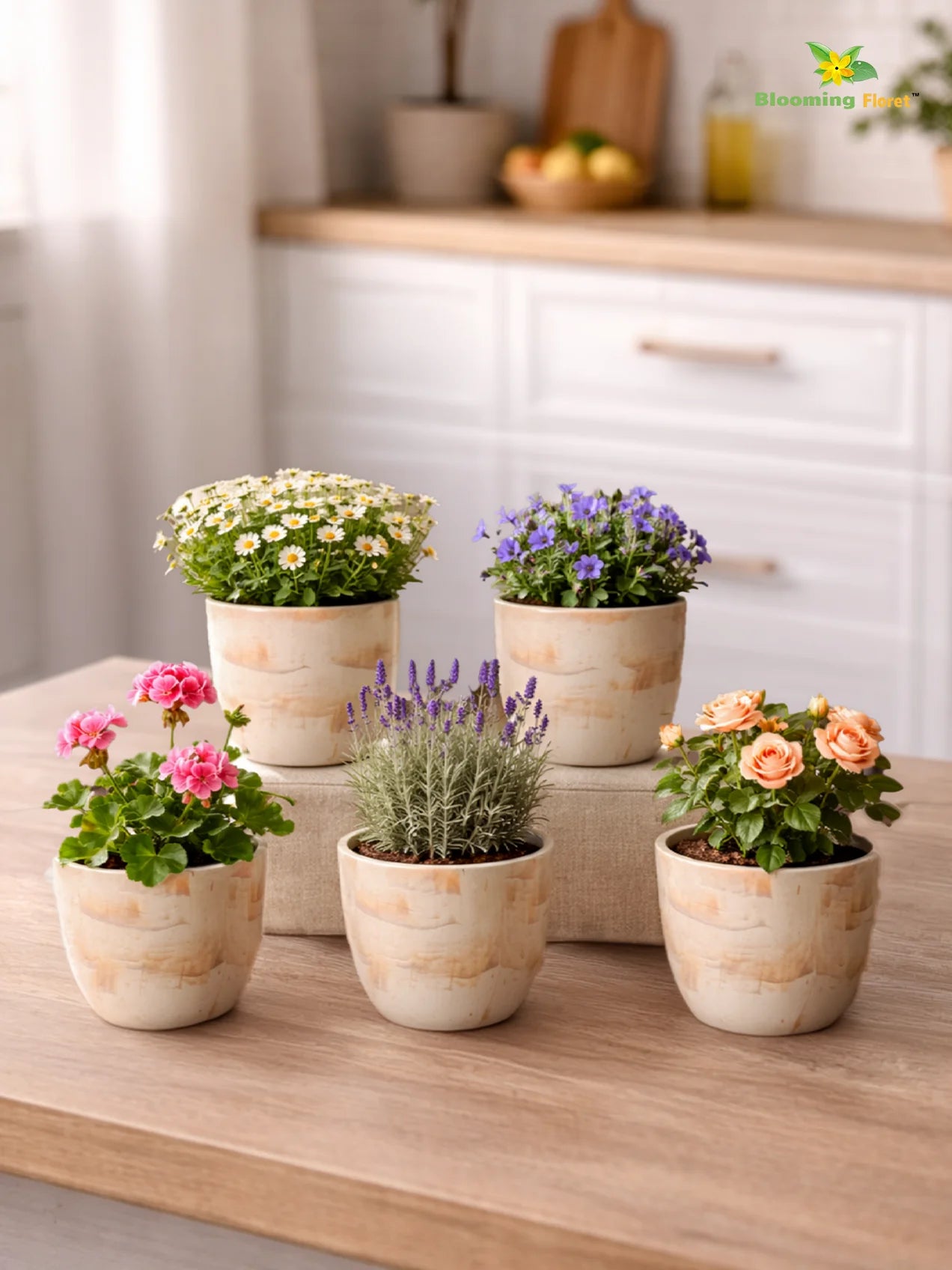 Vivid Tie-Dye Planter | Beige | 12 cm | Set of 5