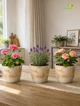 Vivid Tie-Dye Planter | Beige | 12 cm | Set of 3