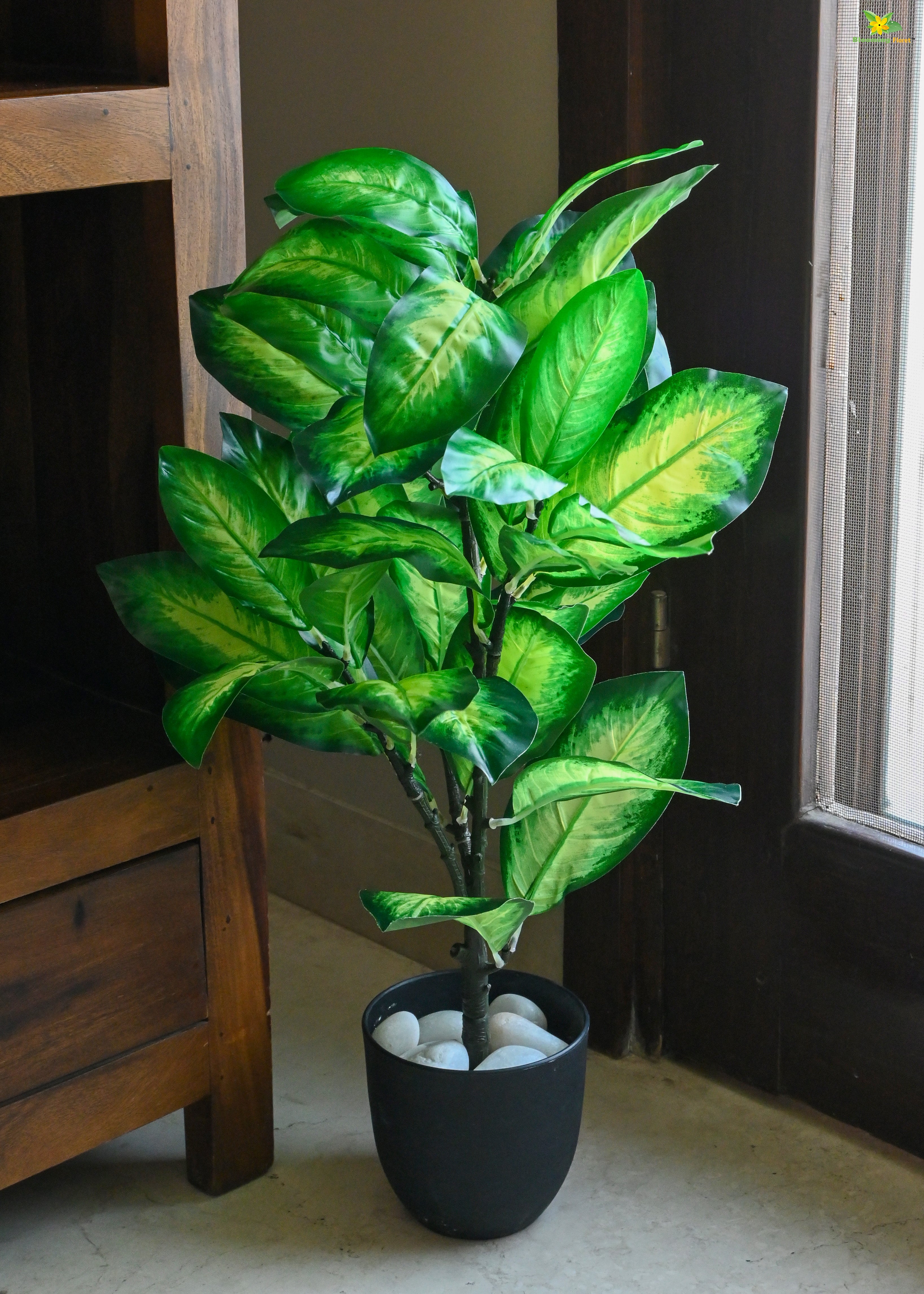 Artificial Dieffenbachia Seguine Plant for Decor 30 Leaves with Basic Pot | 65 cm