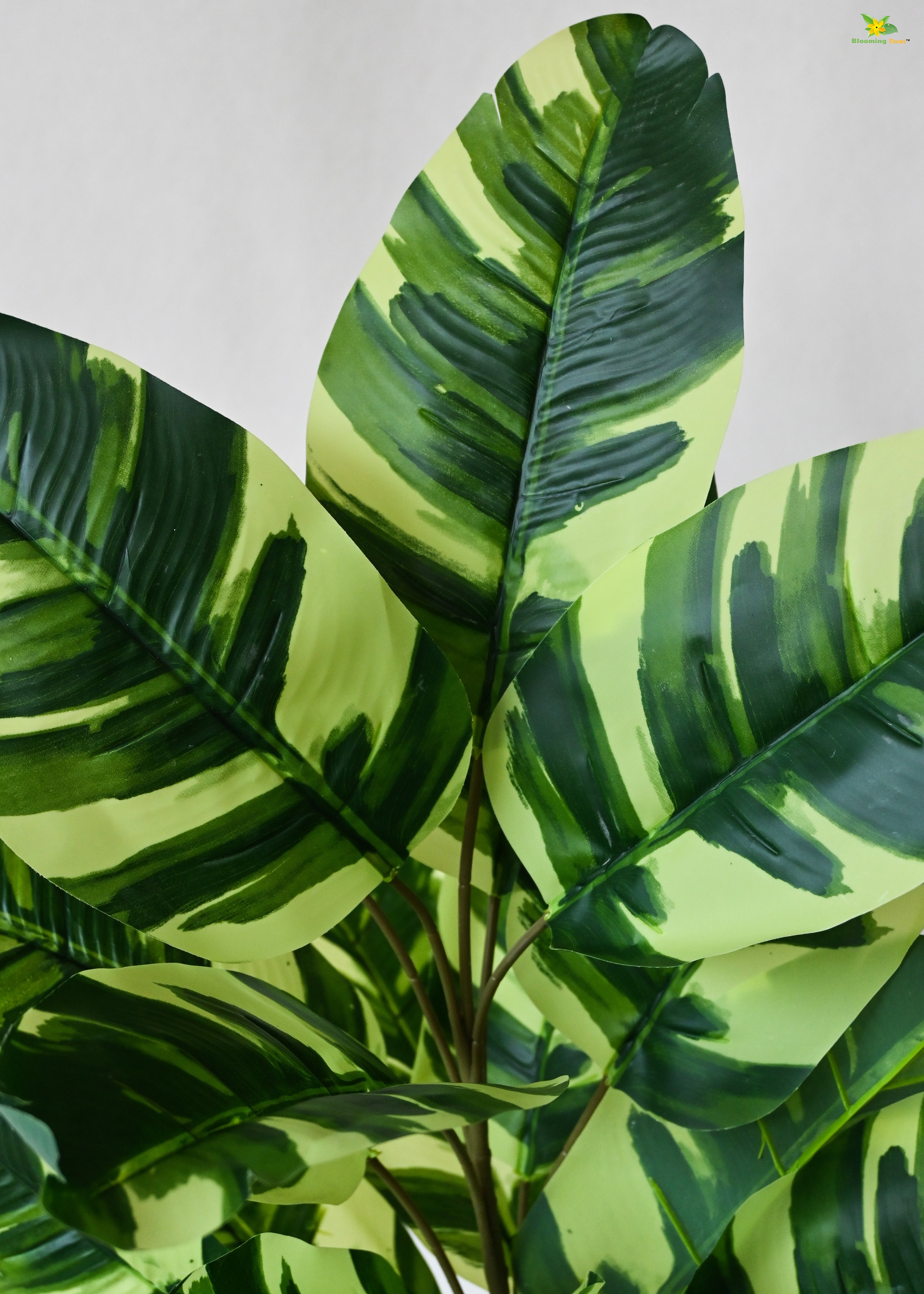 Artificial Calathea Zebrina Plant for Decor | 21 Leaves with Basic Pot | 78.7 cm