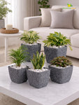 Coarse Textured Square Planter Pot | 10 cm | Set of 5
