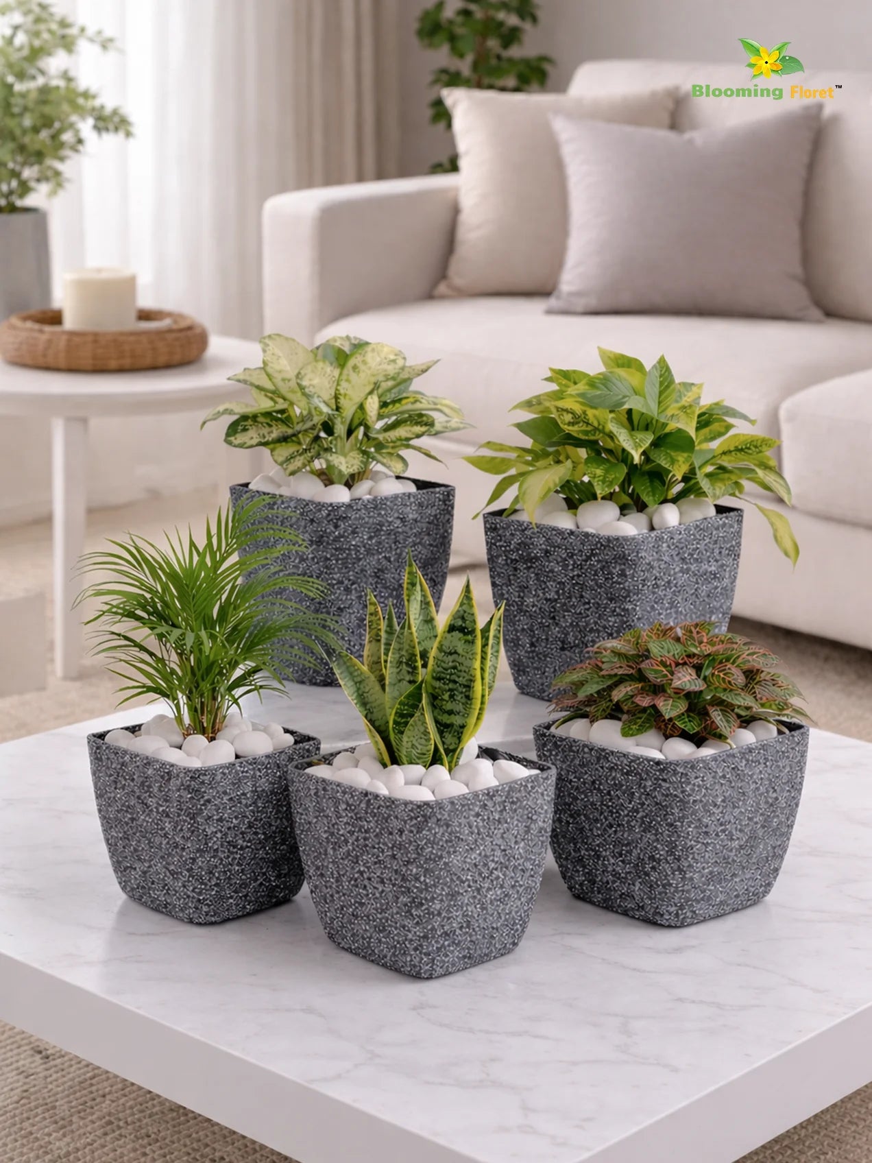 Coarse Textured Square Planter Pot | 10 cm | Set of 5