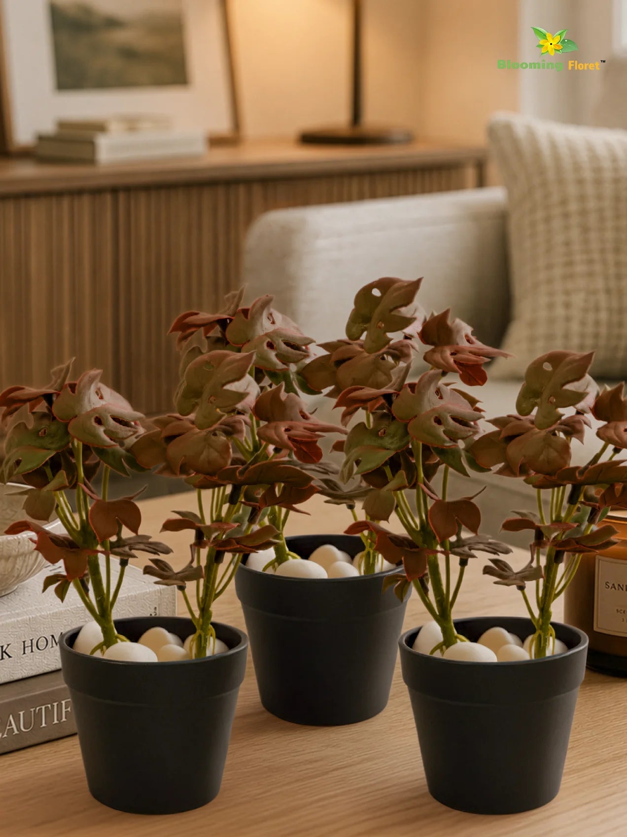 Artificial Mini Monstera Succulent | Maroon | 15 cm | Set of 3