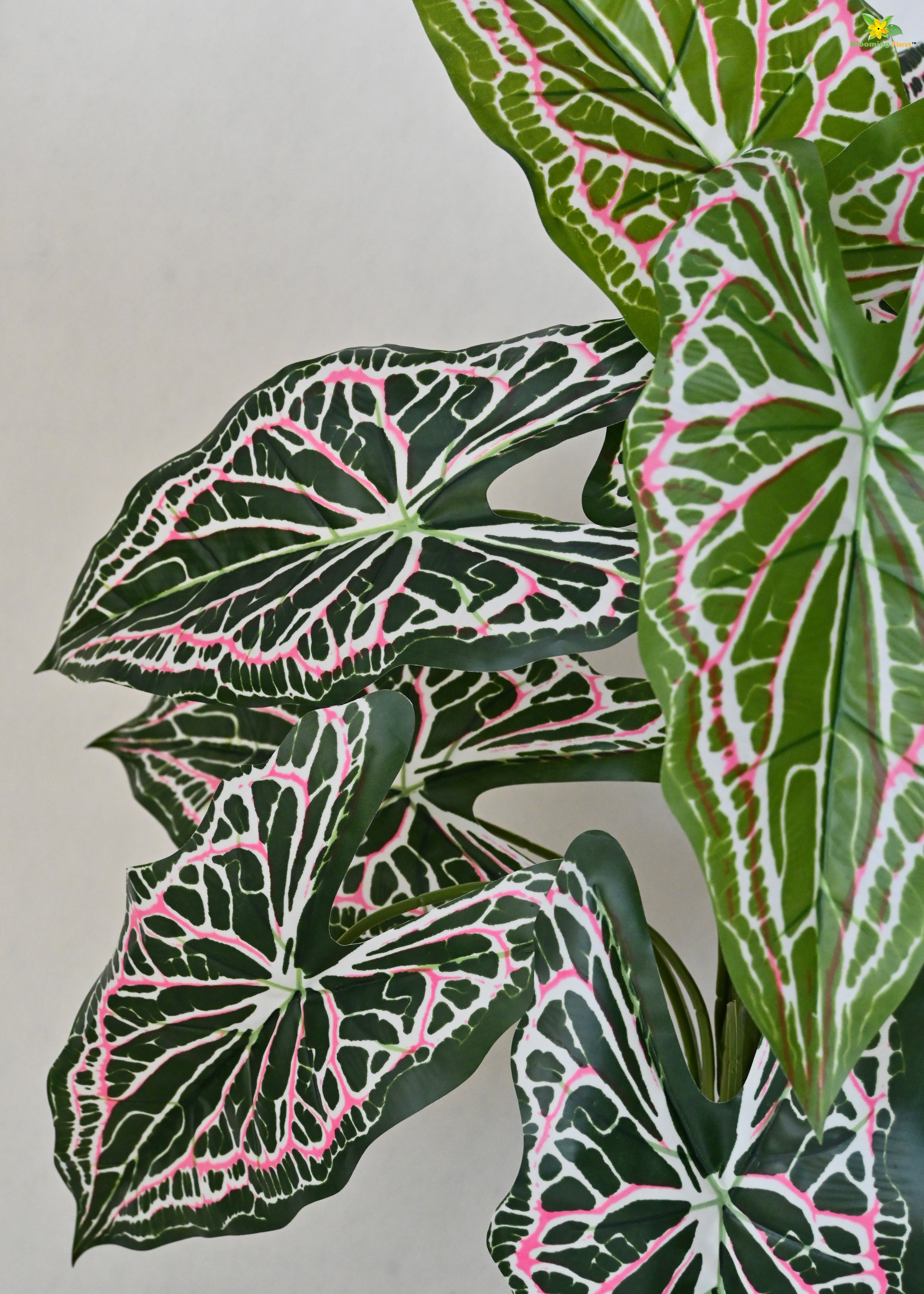 Artificial Web Pattern Caladium Plant for Decor | 12 Leaves with Basic Pot | 78.7 cm