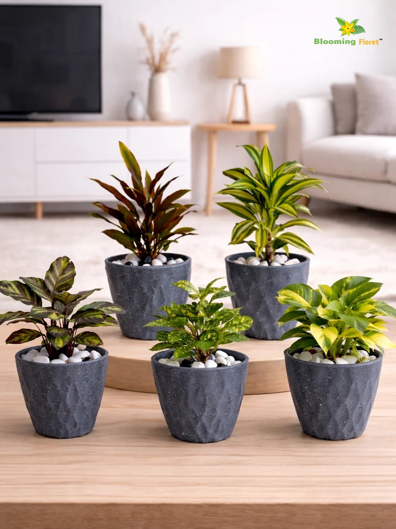 Diamond Pattern Round Planter | 13 cm | Set of 5
