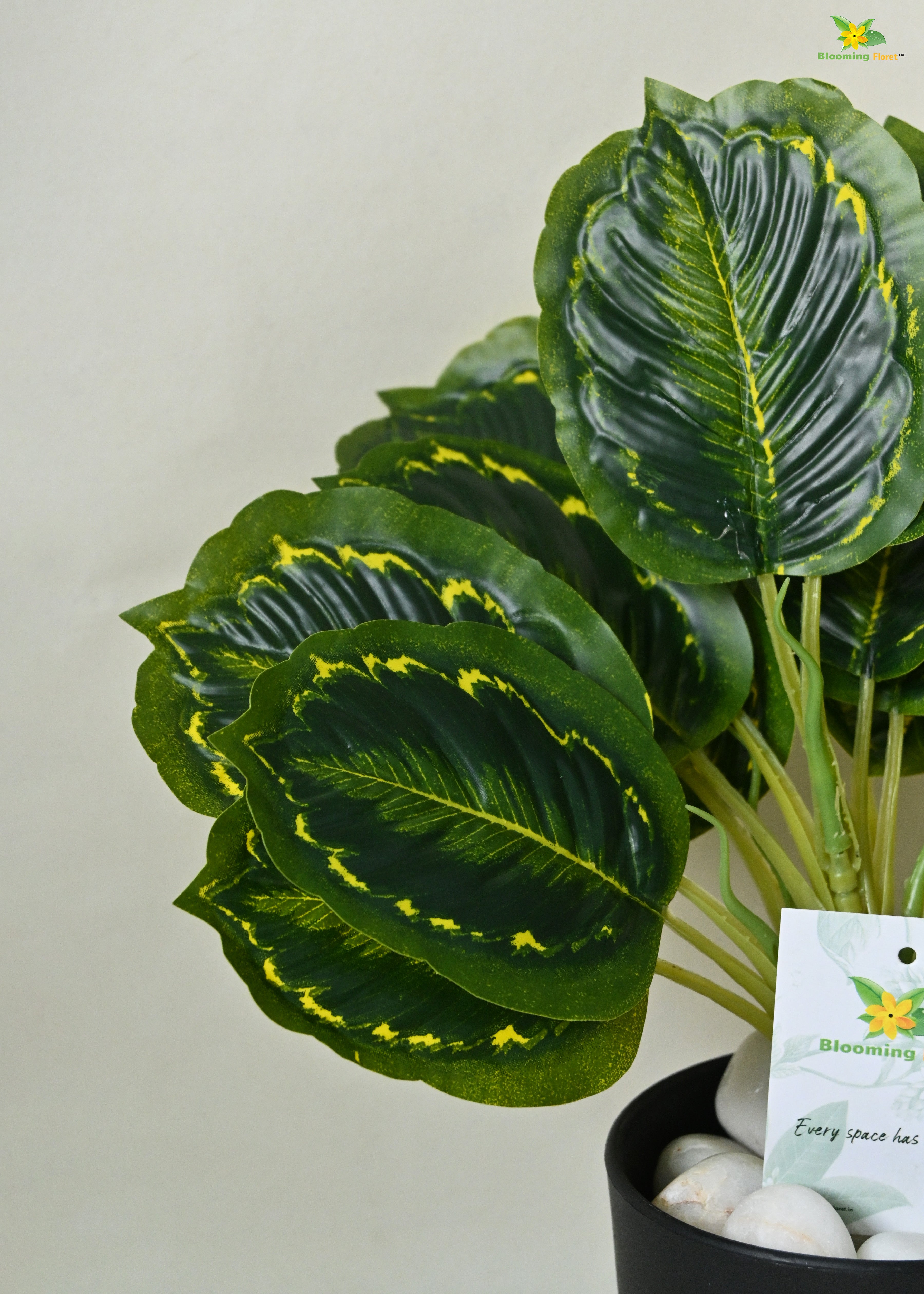 Artificial Calathea Roseopicta Plant For Decor | 18 Leaves with Basic Pot | 33 cm