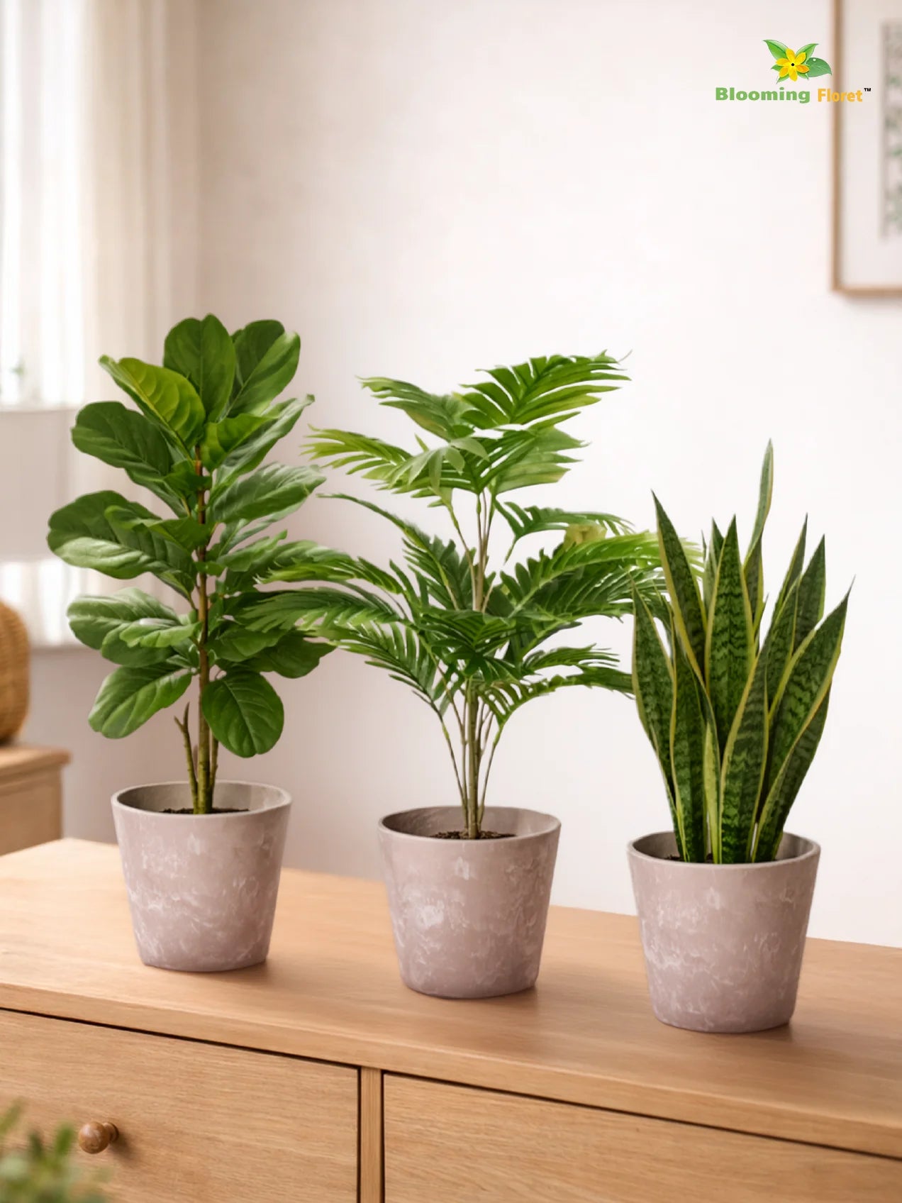 Modern Grace Poly Planter | Brown |15 cm | Set of 3