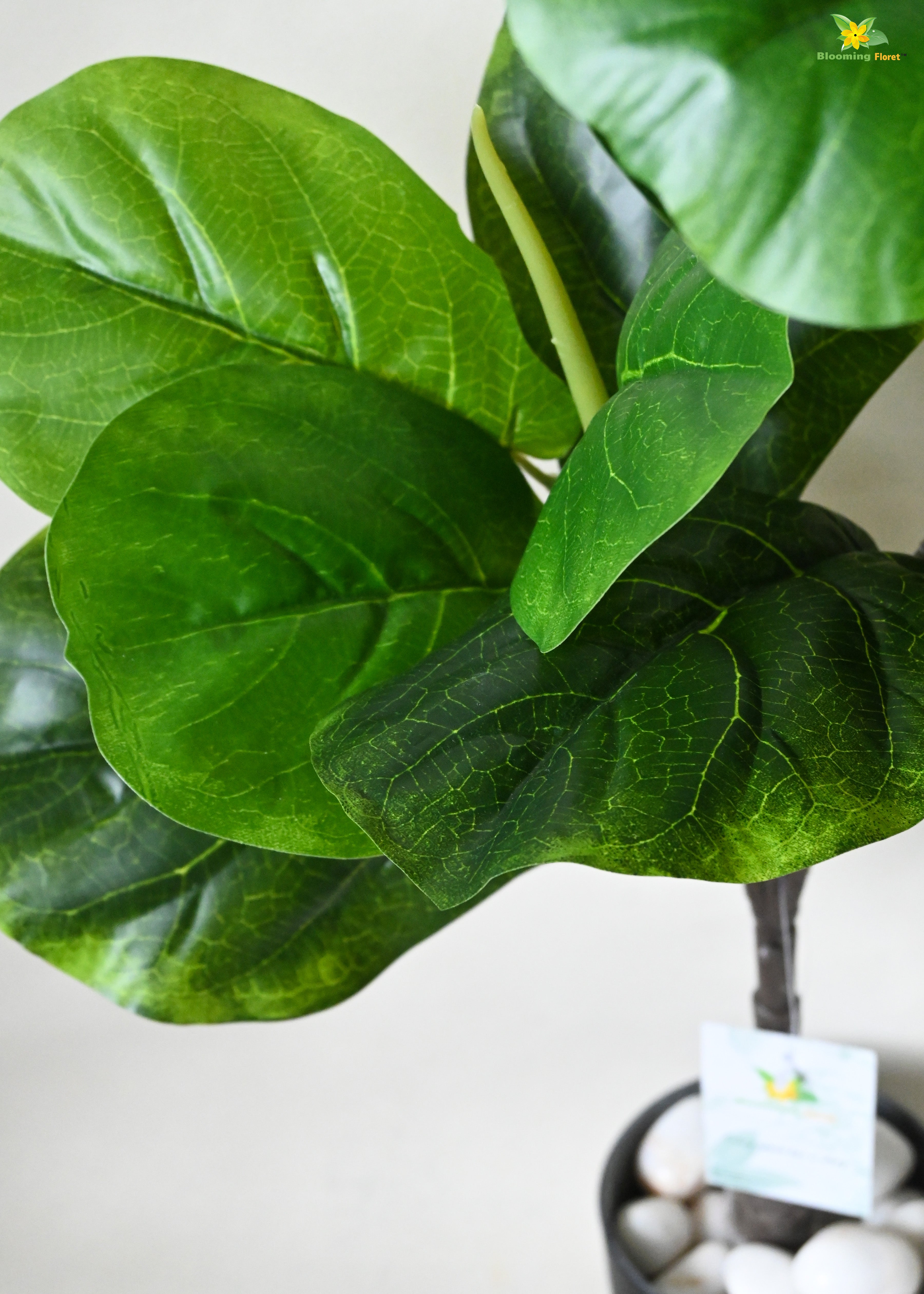 Artificial Fiddle-leaf Fig Plant For Decor 18 Leaves with Basic Pot | 71.1 cm