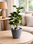 Diamond Pattern Round Planter | 11.5 cm