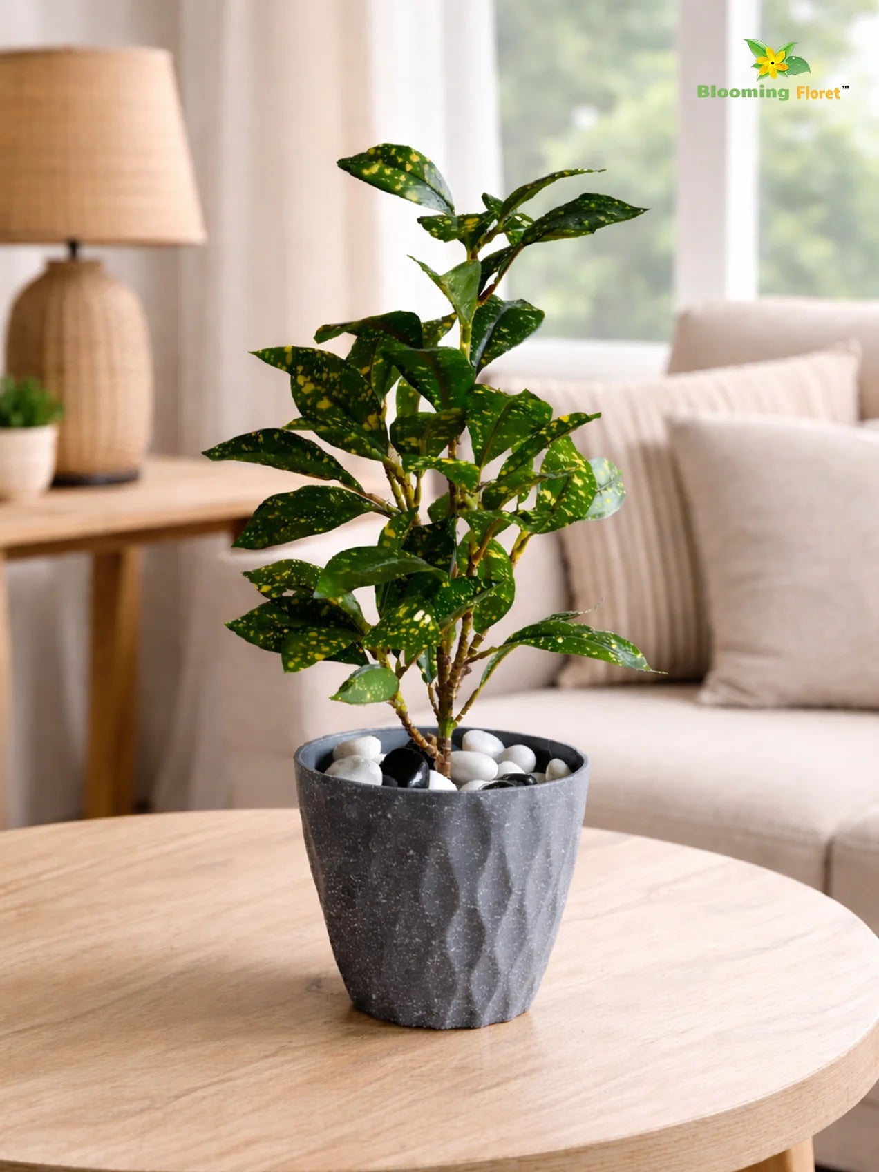 Diamond Pattern Round Planter | 11.5 cm