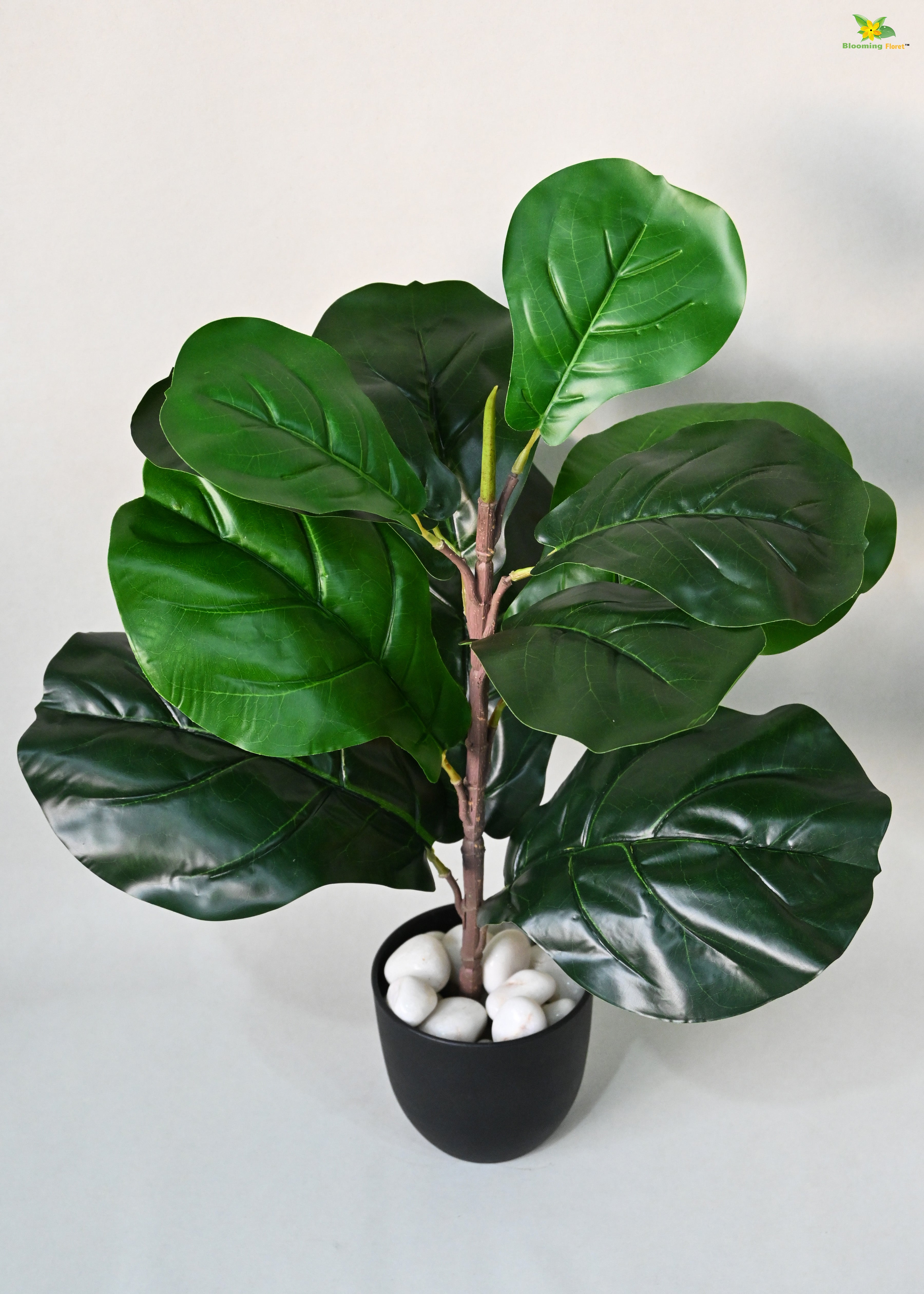 Artificial Fiddle-Leaf Fig Plant for Decor 11 Leaves with Basic Pot | 58.4 cm