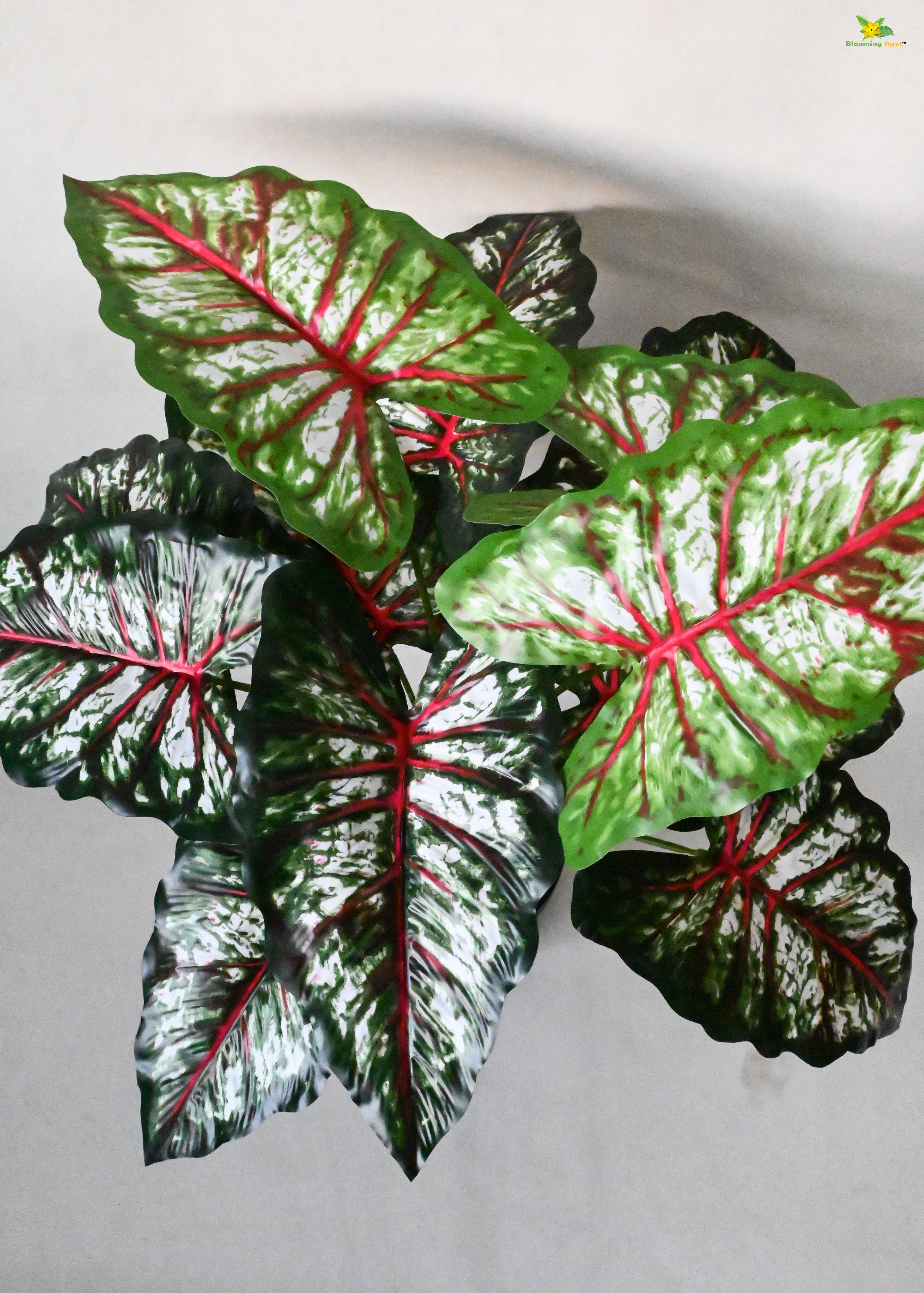 Artificial Tropical Caladium Plant for Decor | 12 Leaves with Basic Pot | 65 cm