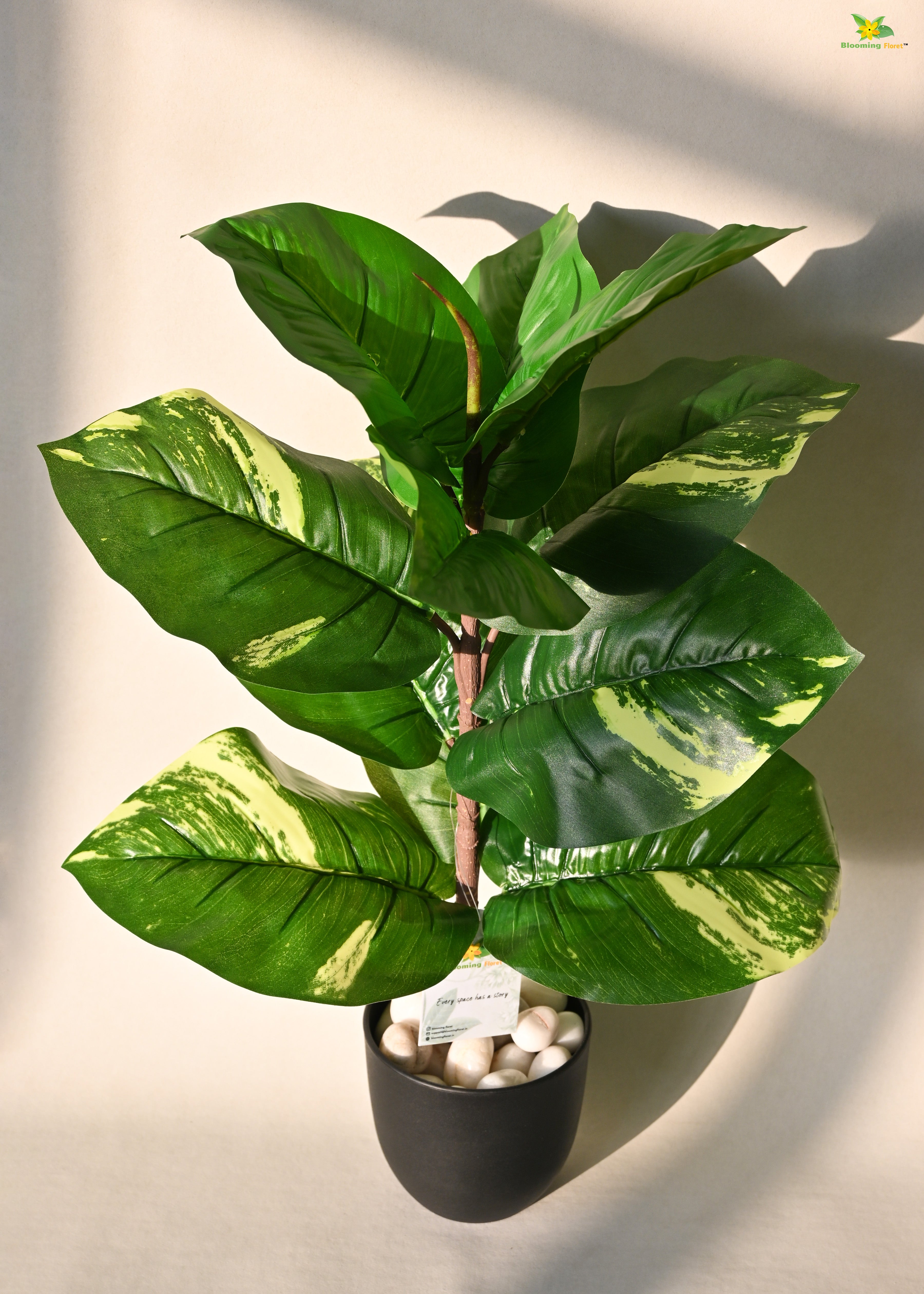 Artificial Dieffenbachia Plant for Decor 11 Leaves with Basic Pot | 58.4 cm